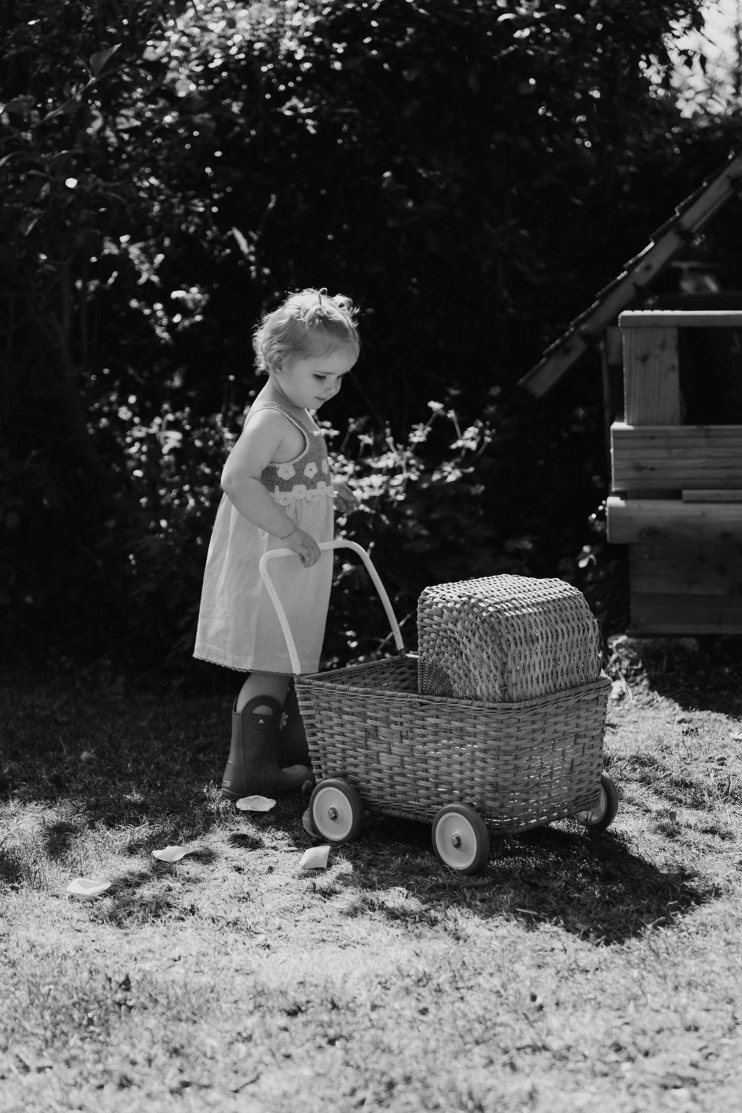 Black and white photo taken by Shots by Maz Photography showing a child pulling a large wicker basket wagon through a sunny garden at home.
