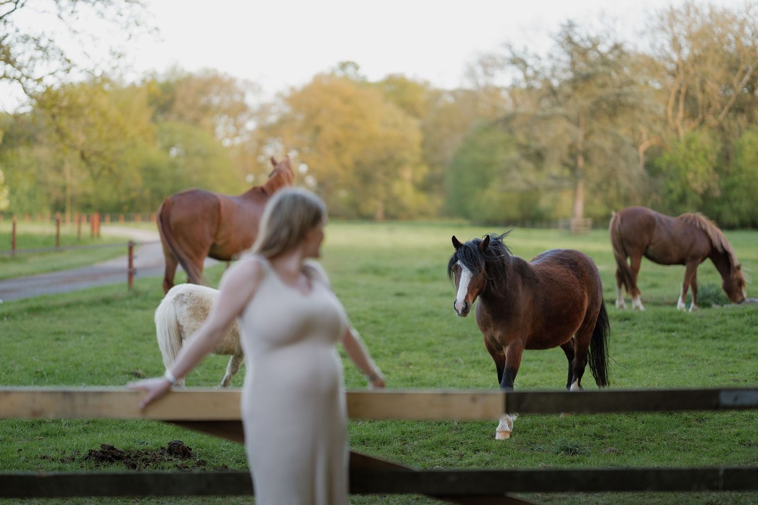 Pregnant woman in flowing dress stands by fence with brown horses grazing on lush green farm at sunset.