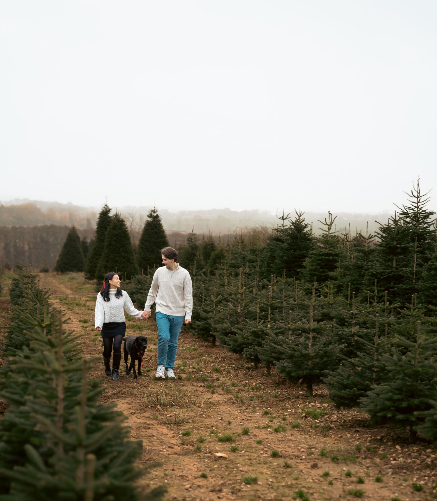 Couple walking hand-in-hand with a black dog through rows of green Christmas trees on a tree farm.
