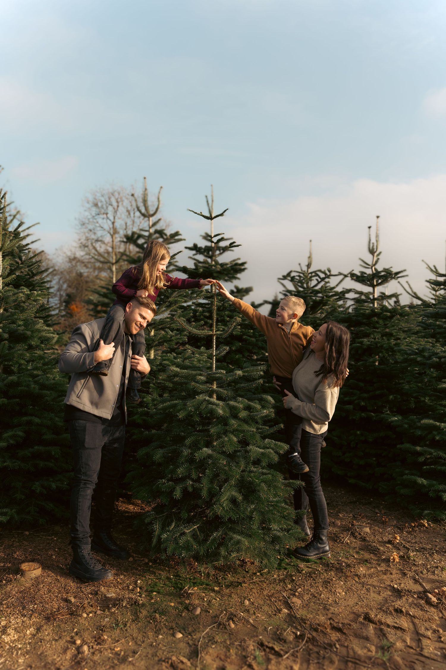 Family choosing a Christmas tree at an outdoor tree farm, with children on shoulders reaching the treetop.