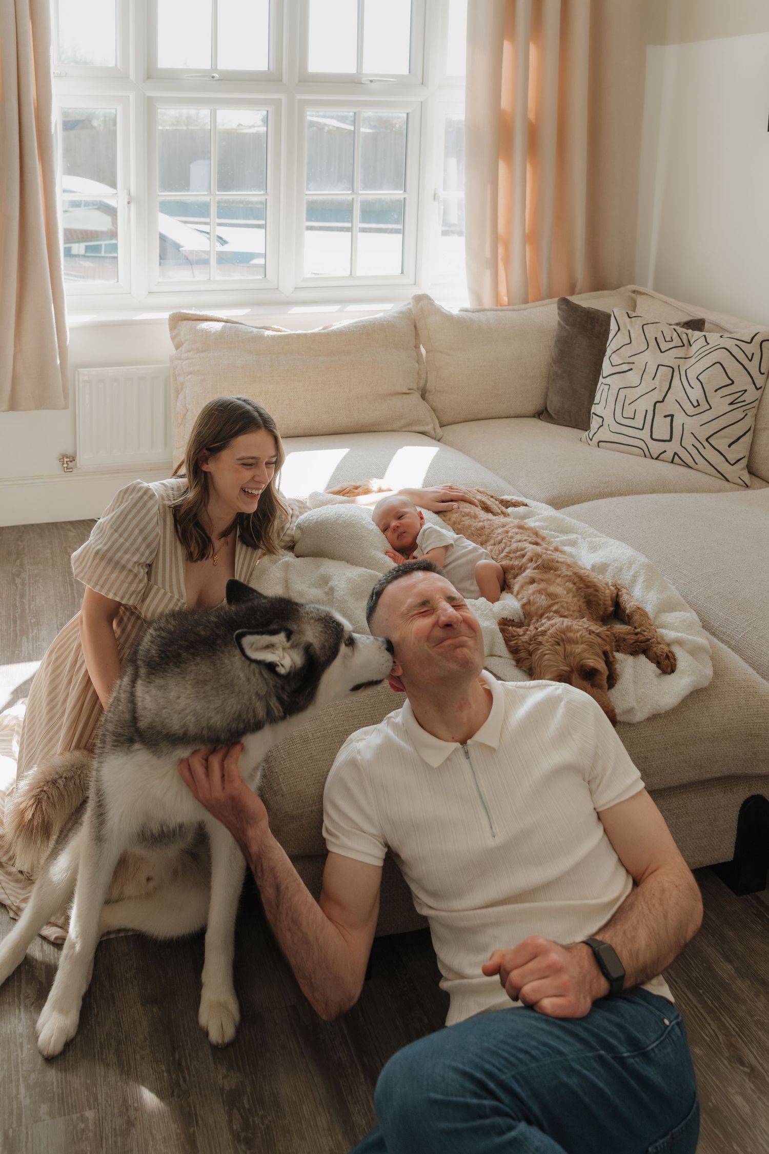 Family relaxing at home on couch with husky dog and golden doodle puppy in bright living room. Home Newborn Photography Derbyshire.