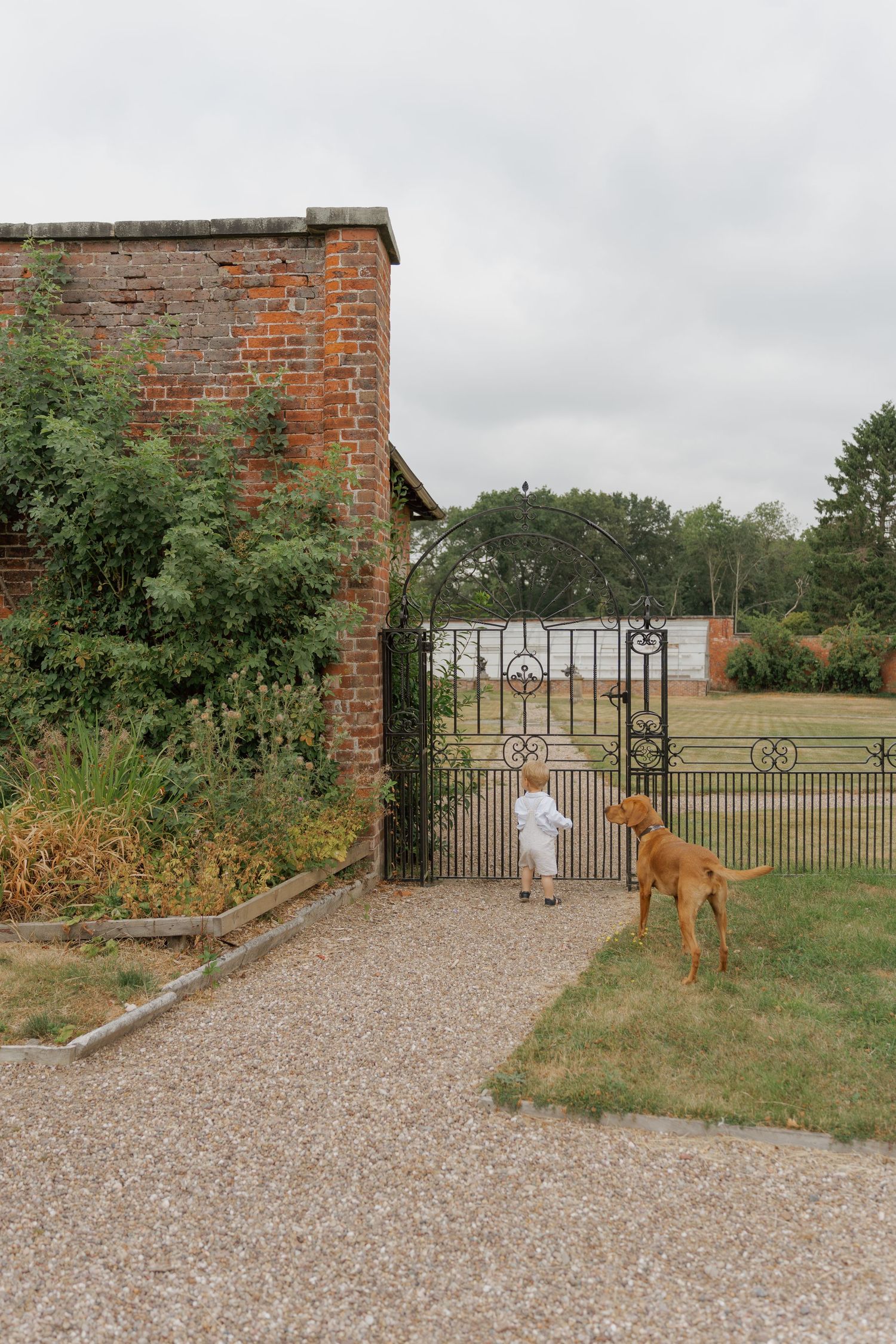 A young child and a golden dog stand at an ornate iron gate beside a brick wall in a lush garden.