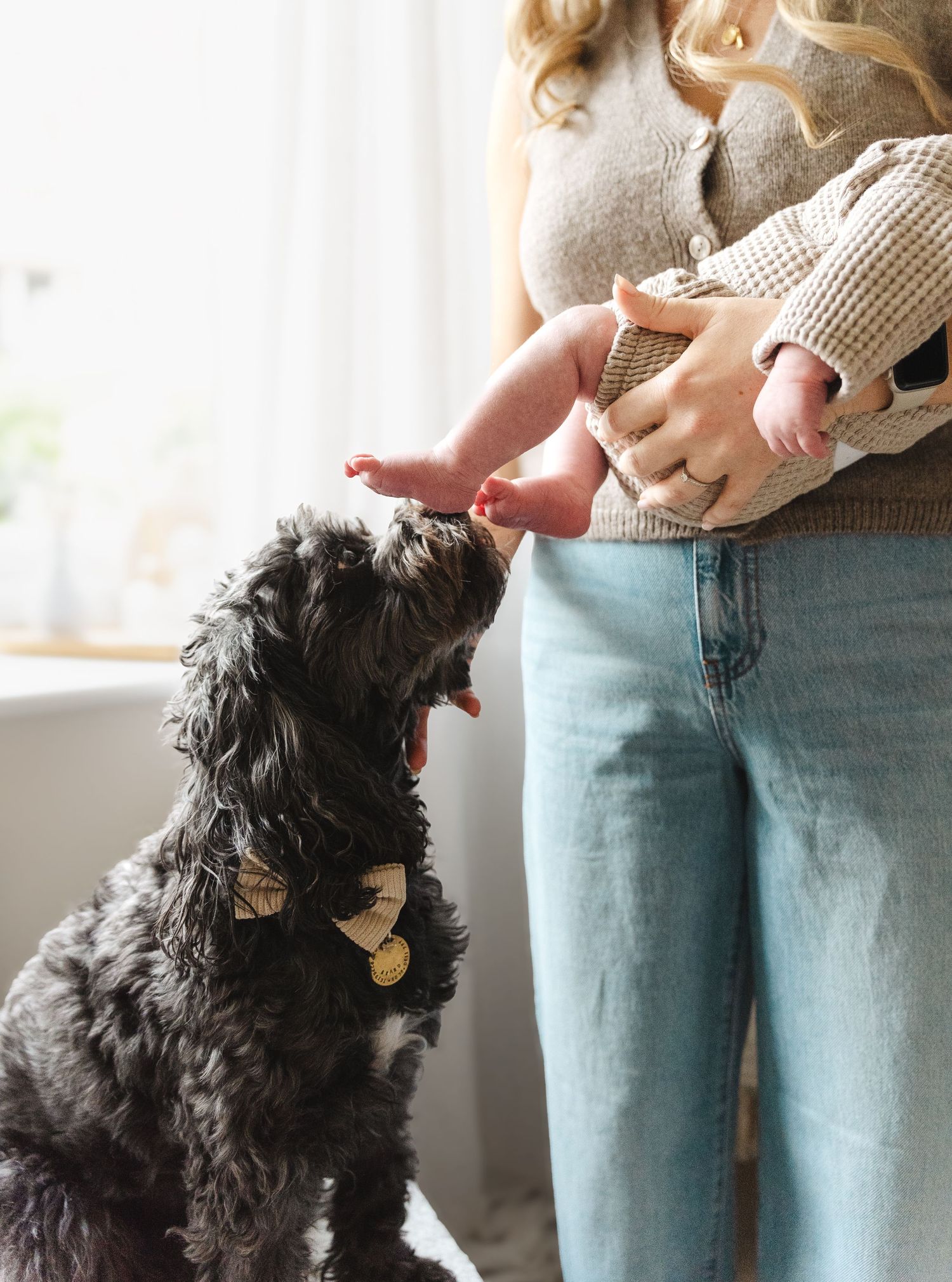 A black fluffy dog receiving treats and affection while standing near someone in jeans.