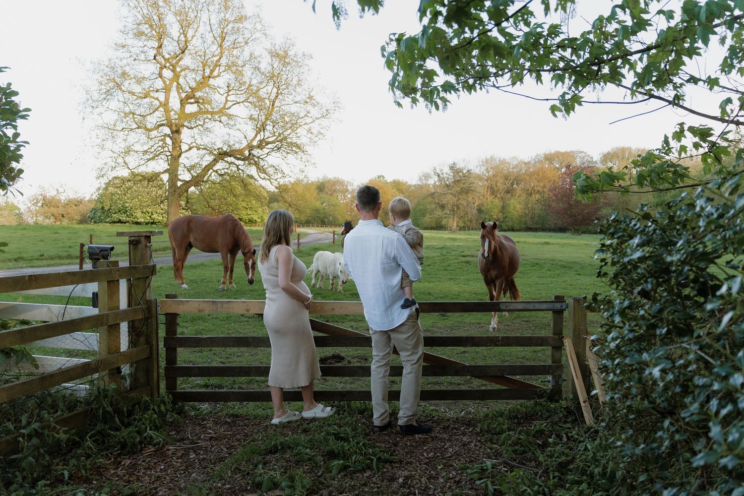A family stands at a wooden gate watching horses graze in a lush green pasture at golden hour.