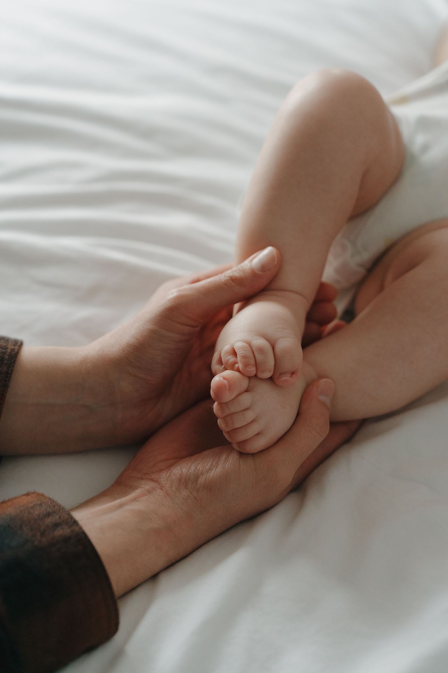 Adult hands gently cradling tiny newborn baby feet on soft white bedding, capturing a tender parenting moment.