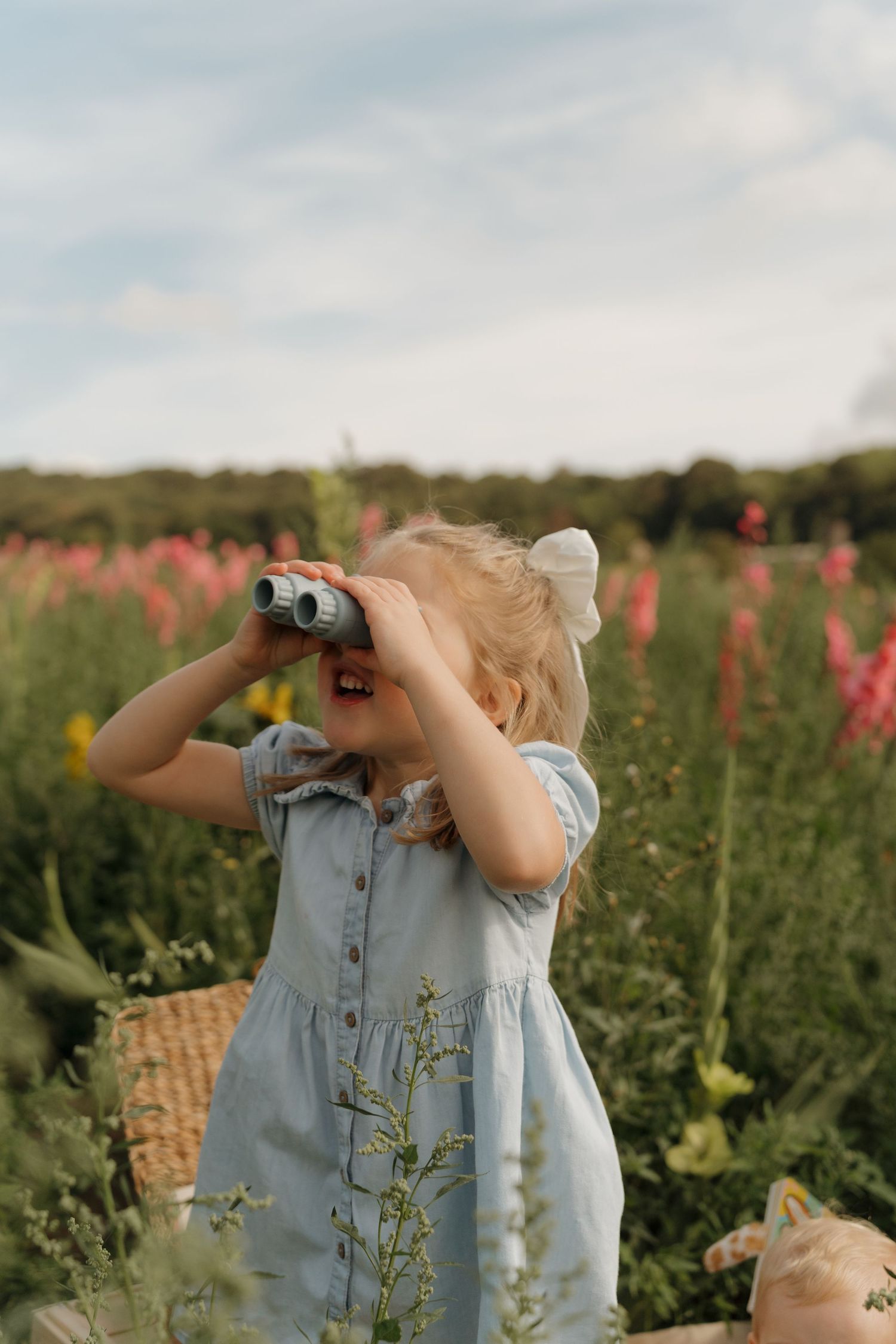 A sequence of images showing someone looking through binoculars in a field of pink wildflowers on a sunny day.