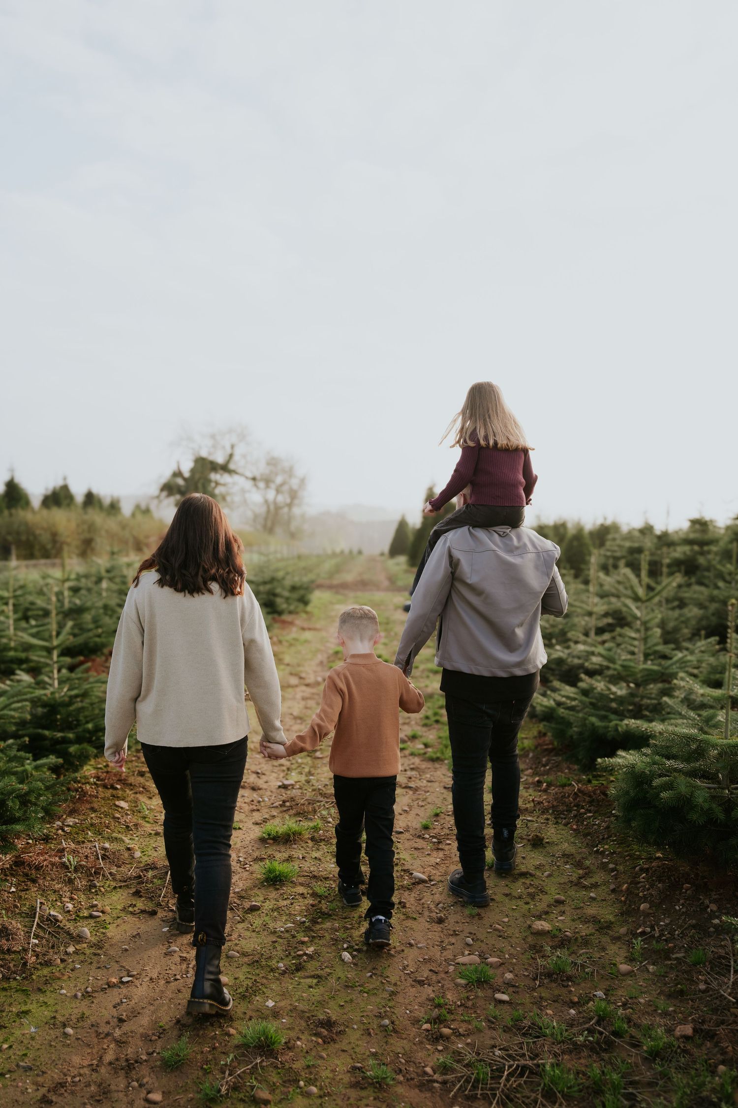 Family walking together through rows of Christmas trees at a tree farm on a misty winter day.