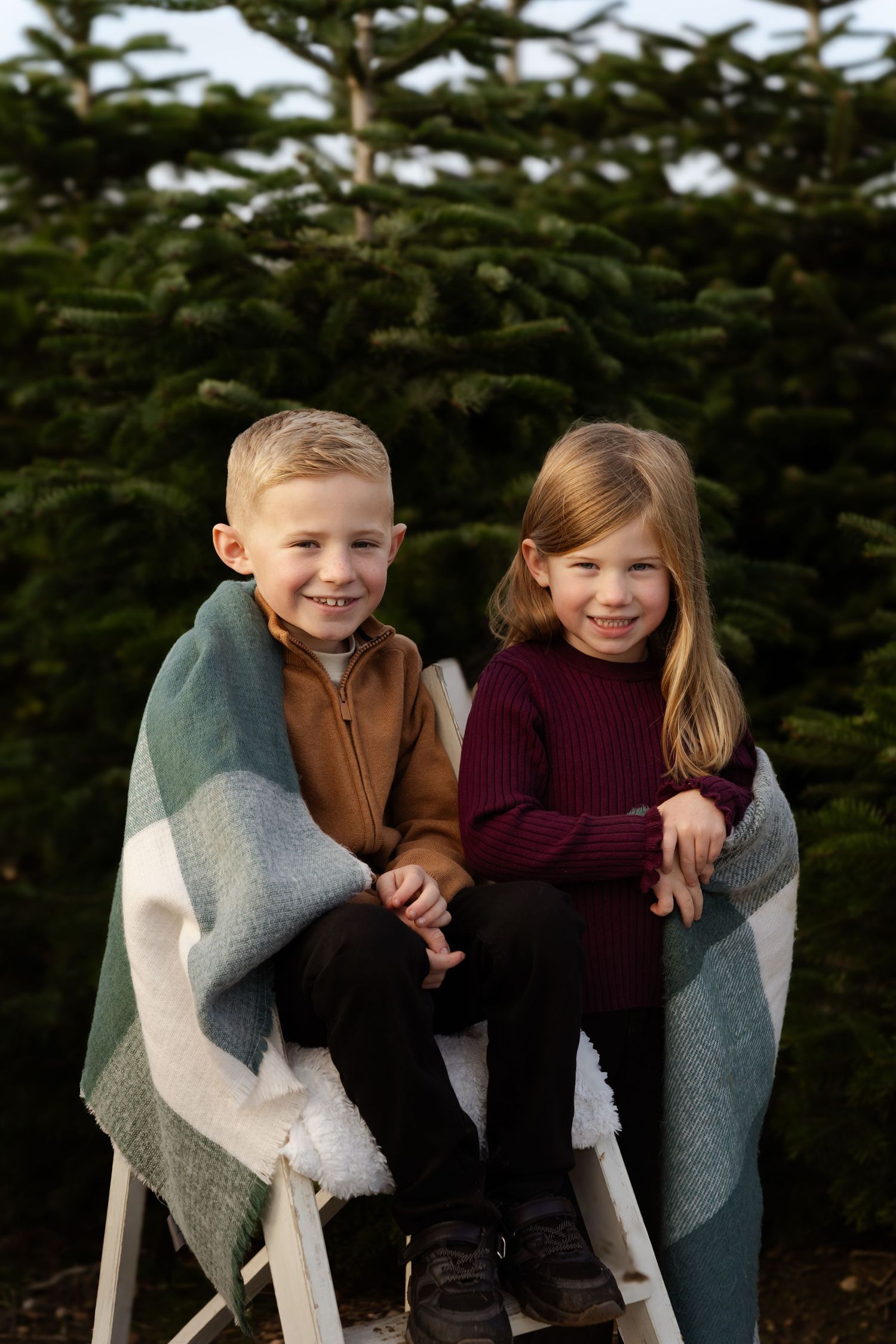 Two children wrapped in a cozy gray blanket sit together against an evergreen tree background.