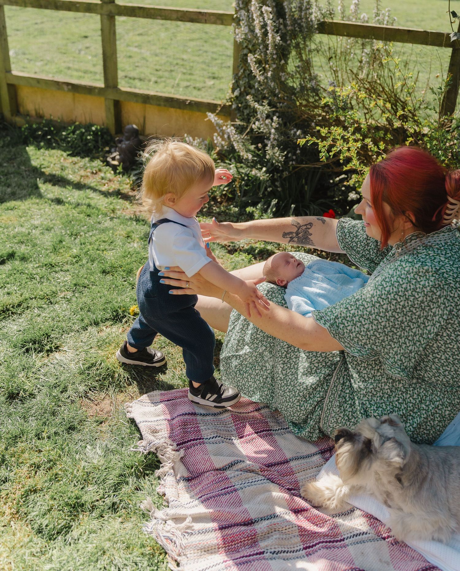 People relaxing on a pink blanket in a sunny garden while playing with a small white dog.