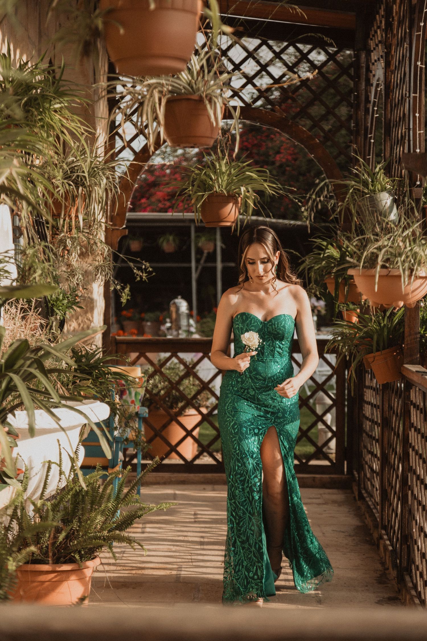 A covered patio decorated with hanging potted plants creates a lush greenhouse atmosphere.