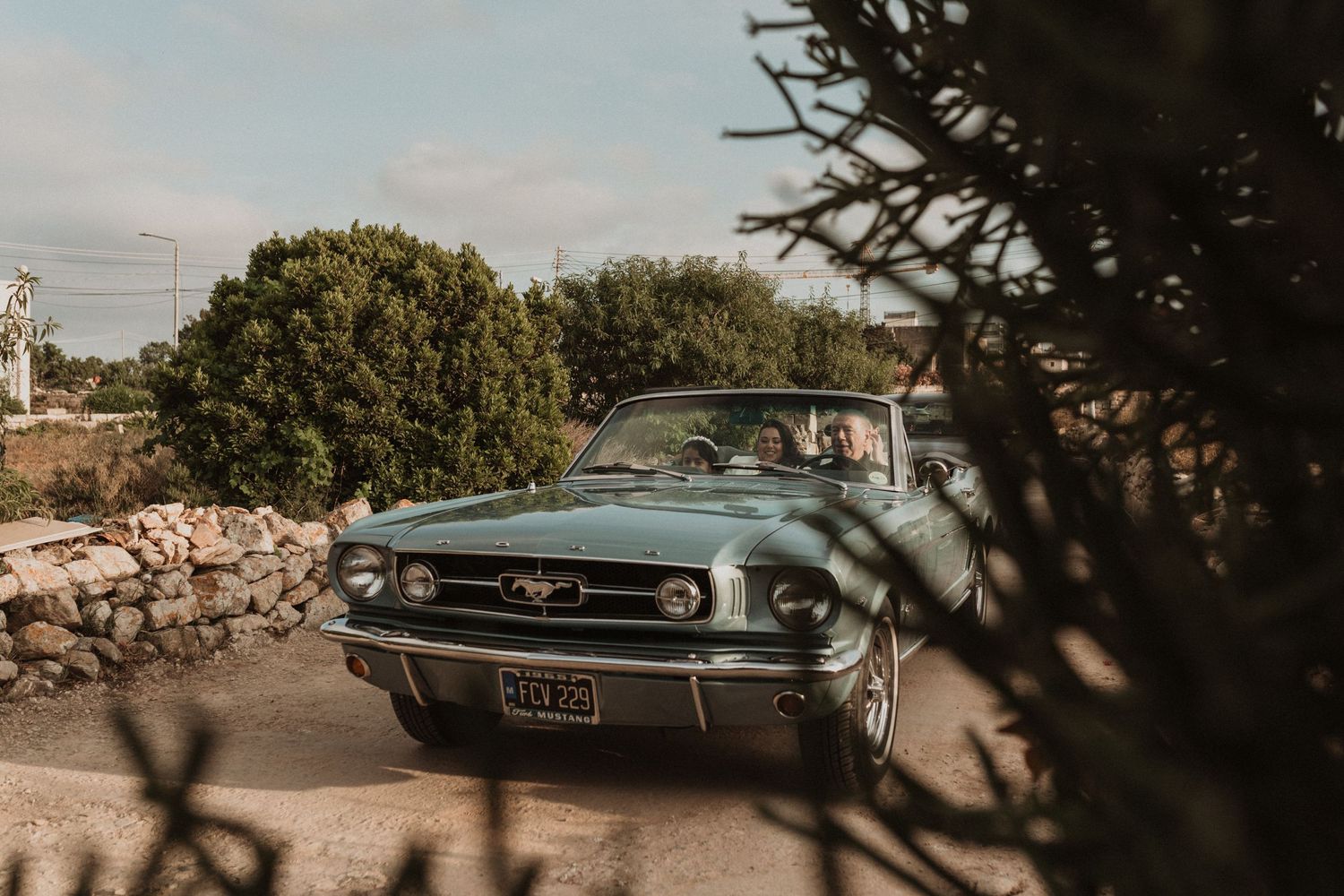Classic vintage car partially visible through trees at outdoor wedding venue.