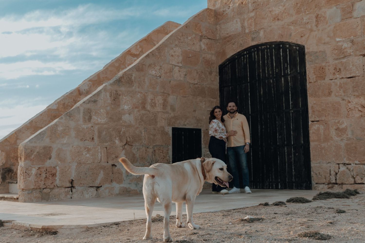 A white dog stands near stone steps against a desert landscape with blue sky.