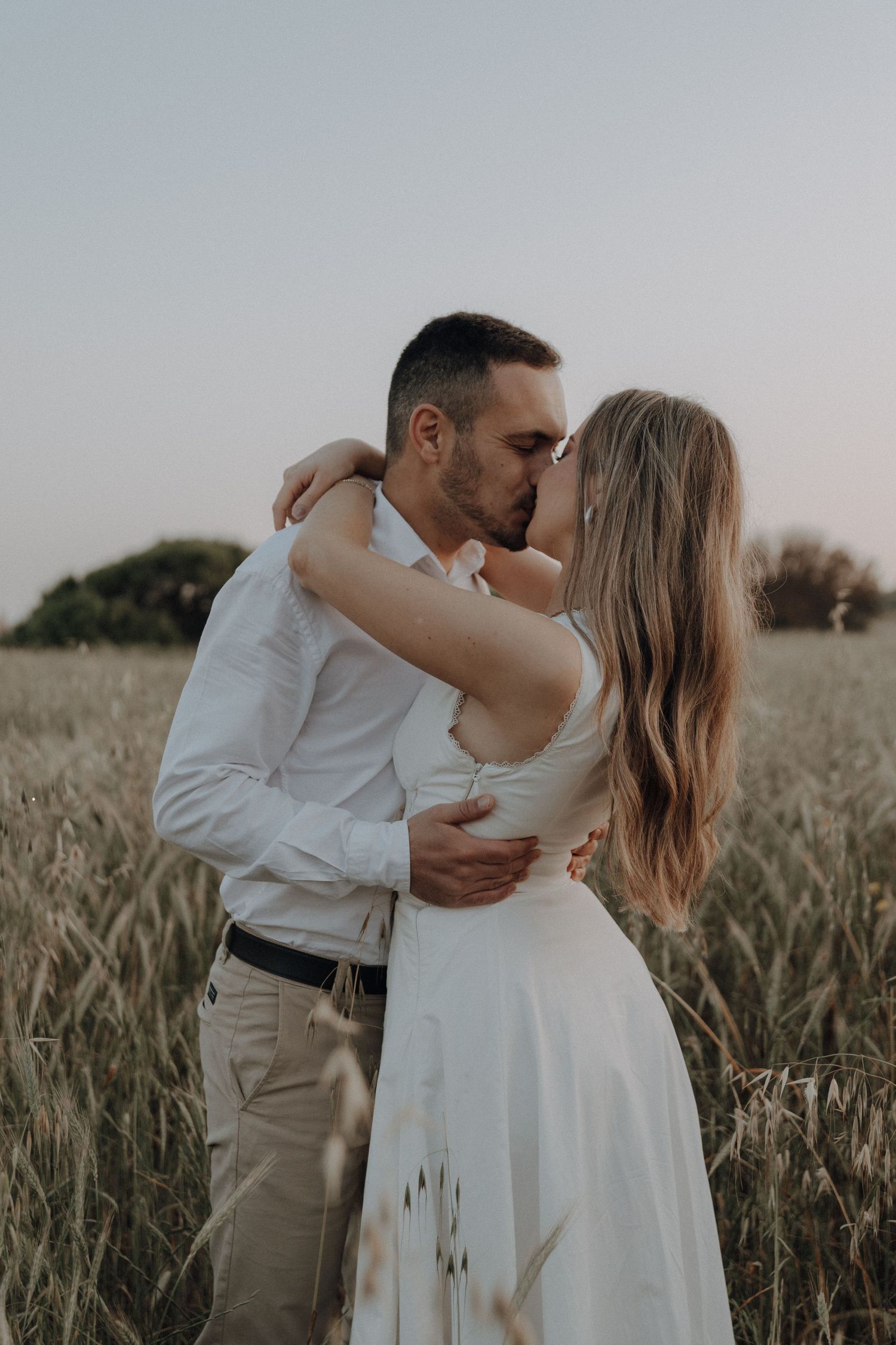 A couple shares a romantic kiss in a golden wheat field, the woman in a white dress and man in a white shirt embracing tenderly.