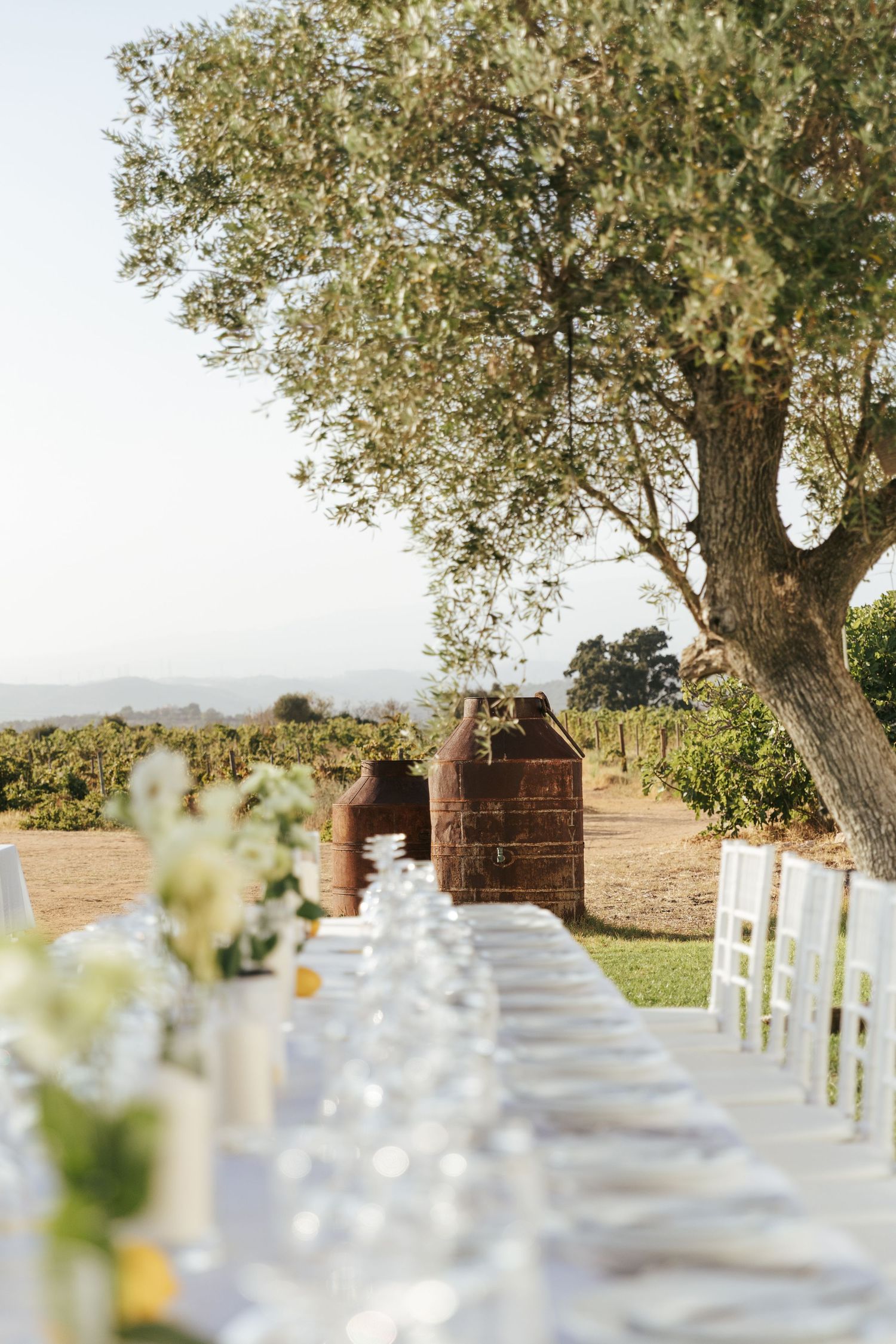 Elegant outdoor vineyard wedding reception with long white table, floral centerpieces, and rustic wooden barrels under an olive tree.