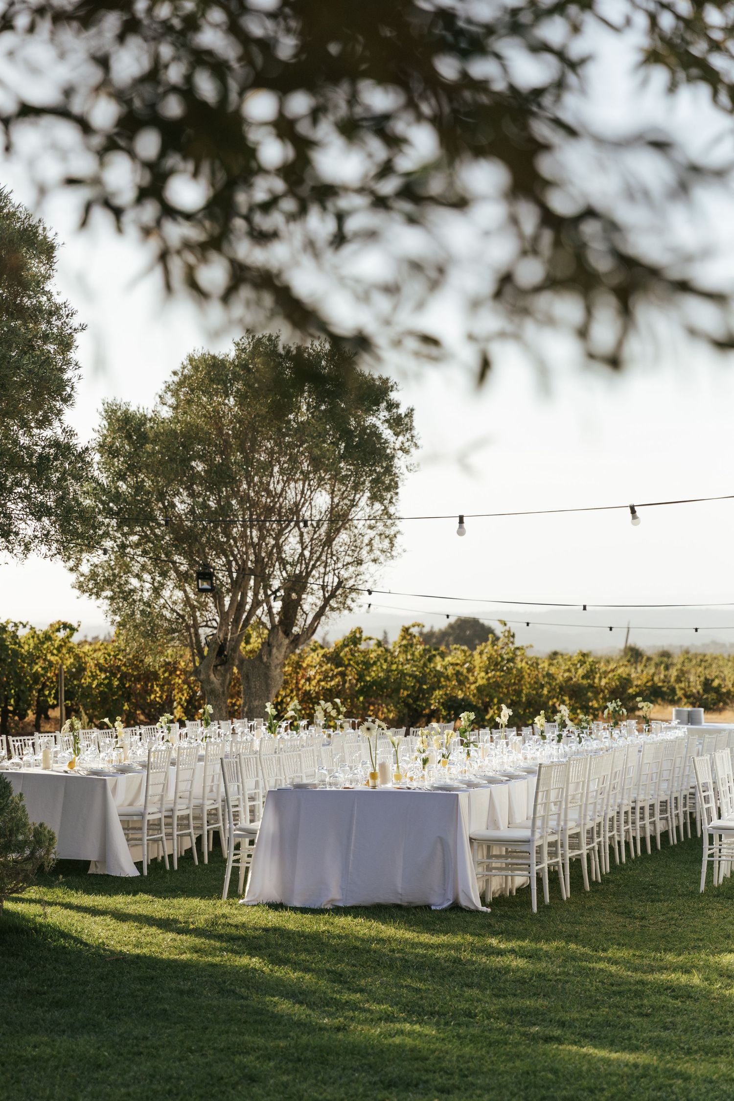 Elegant outdoor wedding reception with long white tables, string lights, and lush vineyard backdrop at golden hour.