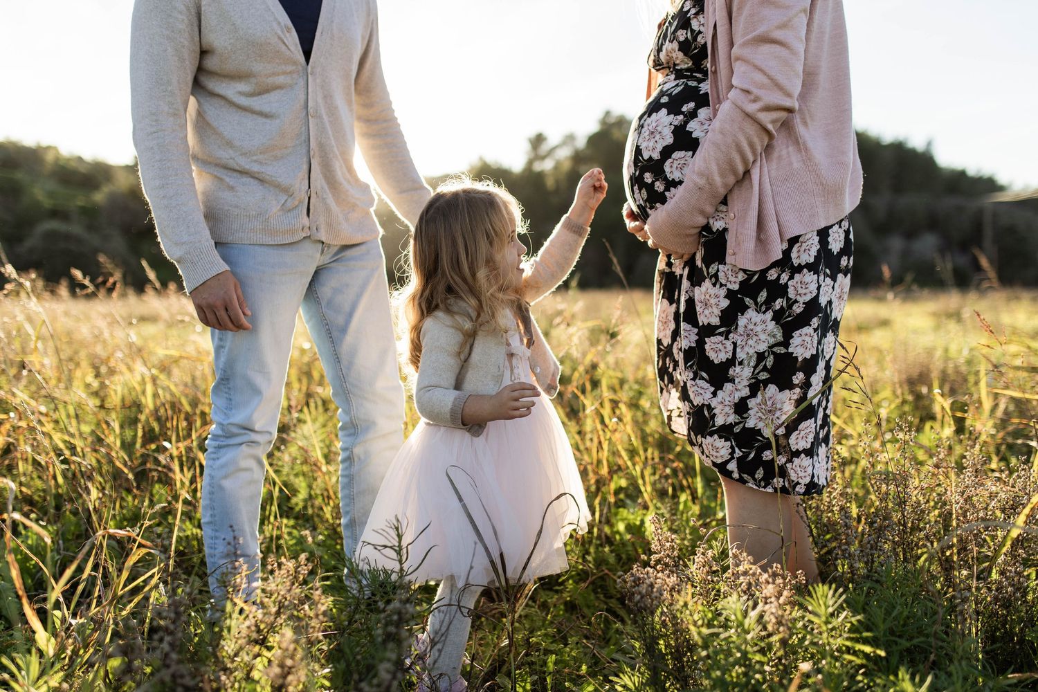 Family holding hands while standing together in a golden field at sunset.
