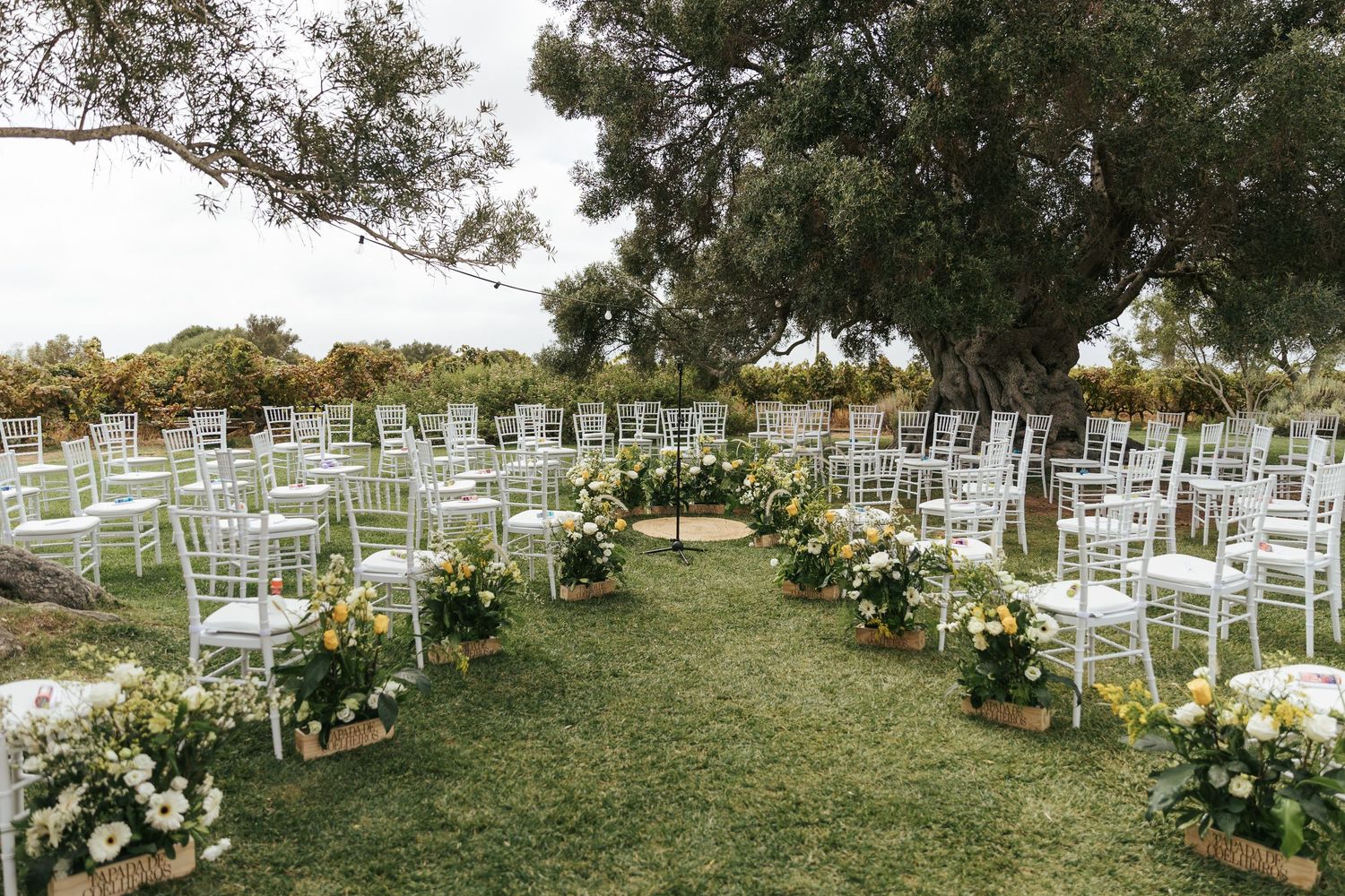 Outdoor wedding ceremony setup with white chiavari chairs arranged in rows along a grass aisle decorated with yellow flower arrangements.