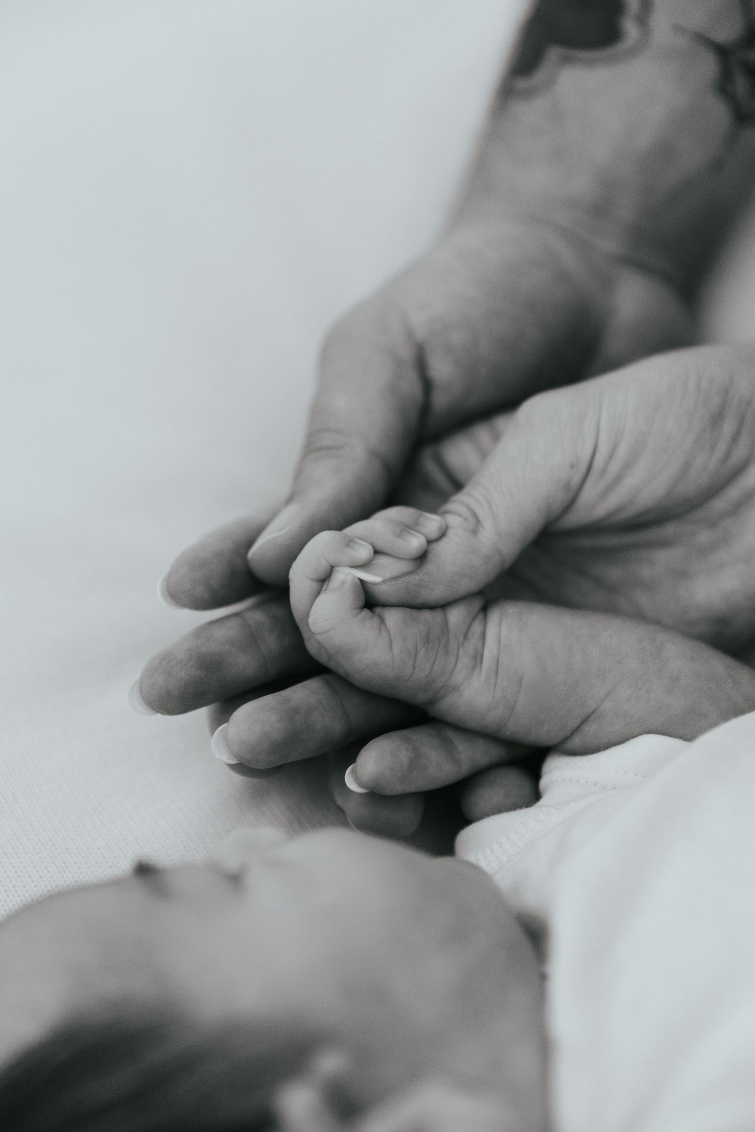 Black and white photo of a newborn baby holding an adult's finger, symbolizing love and new life.