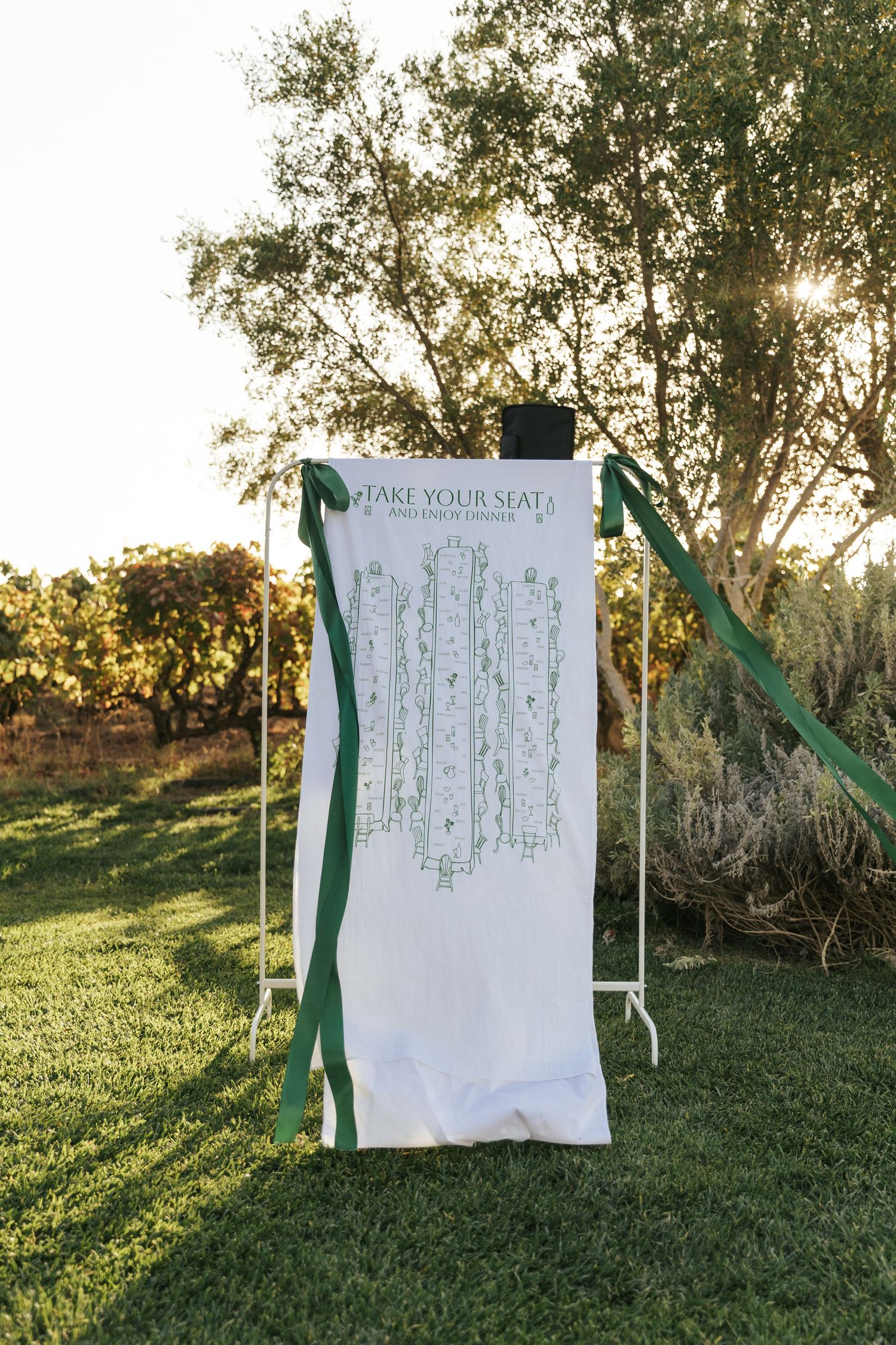 Outdoor wedding seating chart banner with green ribbons displayed on a white stand in a sunlit vineyard setting.