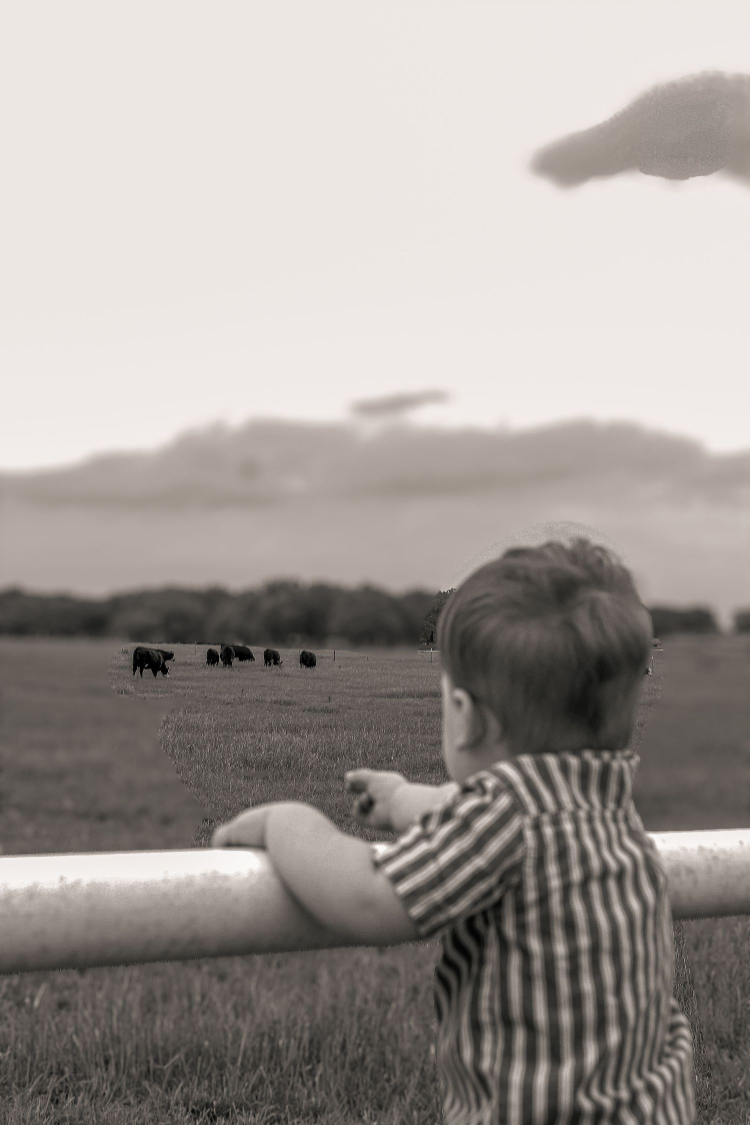A black and white image of a child watching cattle graze in a distant field.