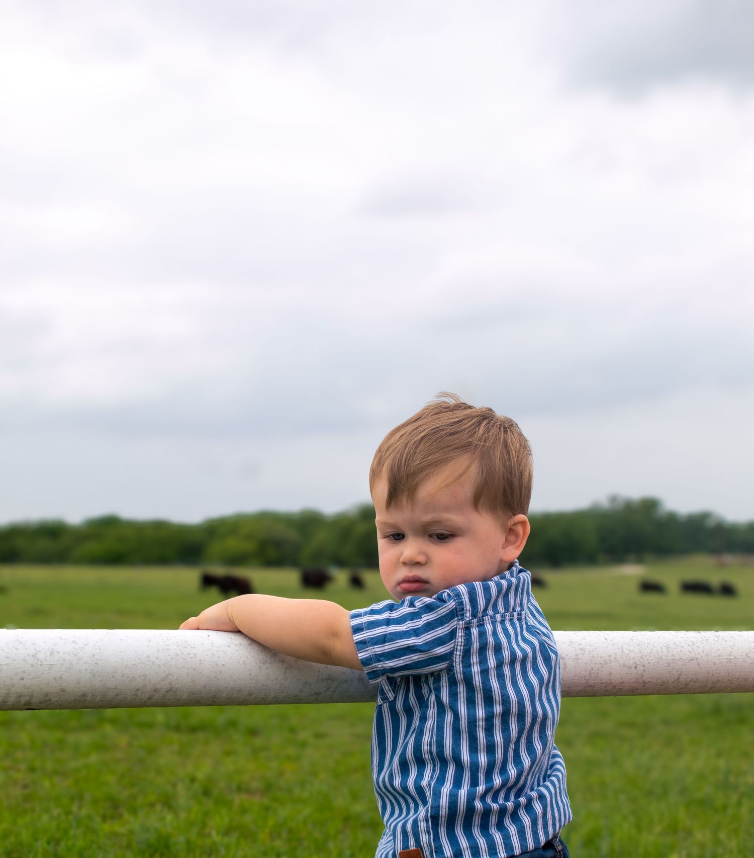 A series showing a child in a striped shirt gazing at the horizon in a green field.