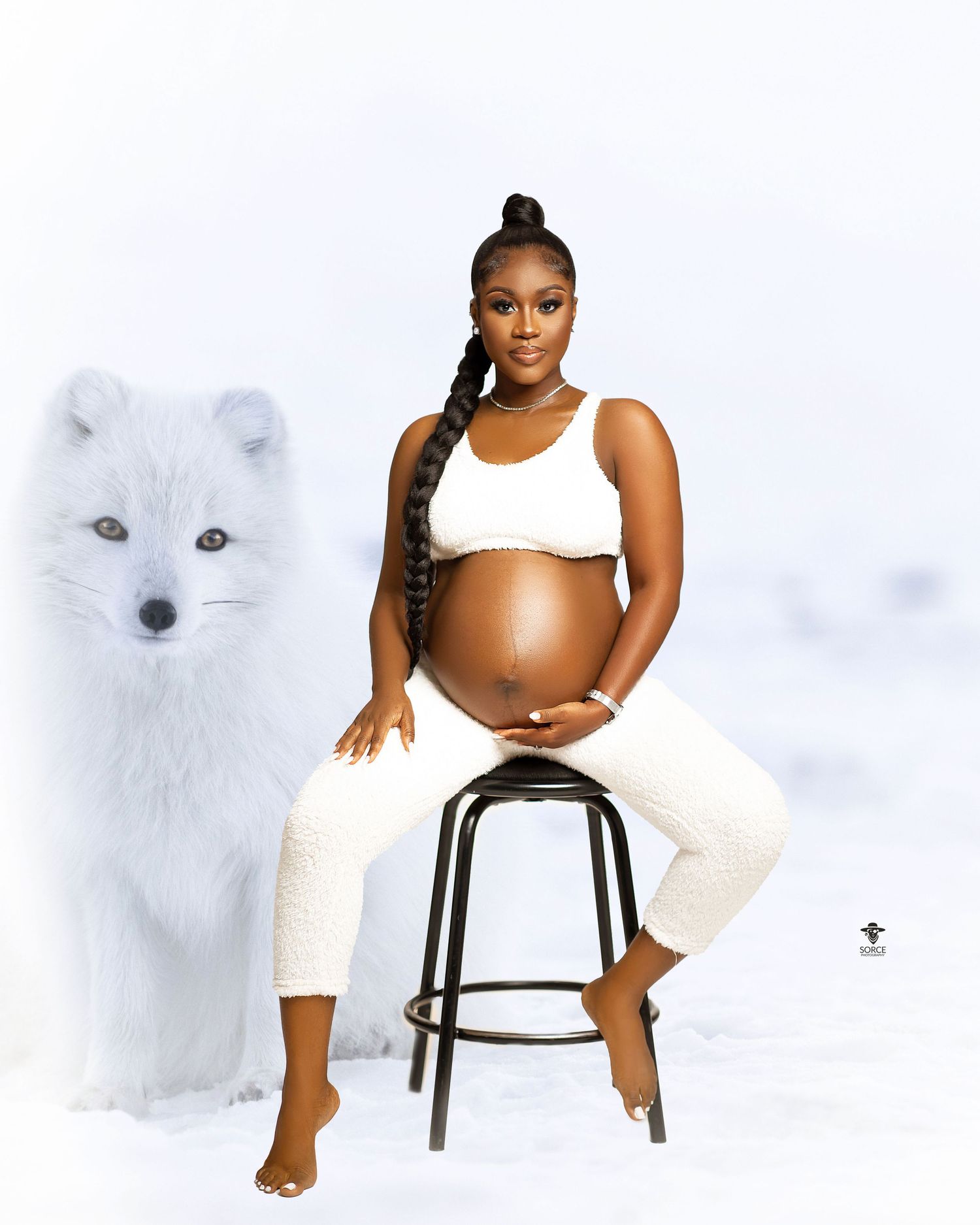 A minimalist black and white maternity photoshoot with an Arctic fox silhouette.
