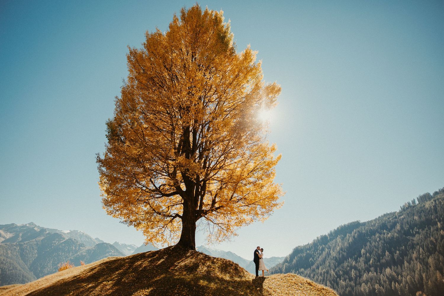 Silhouette Figur steht unter goldenem Herbstbaum auf Berghügel bei Sonnenuntergang in Österreich.