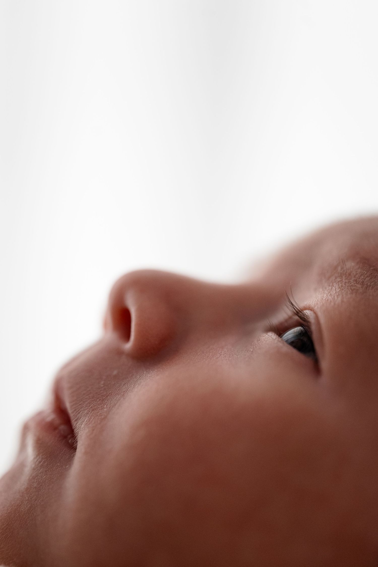 Close-up profile of a newborn baby's face looking upward against white background.