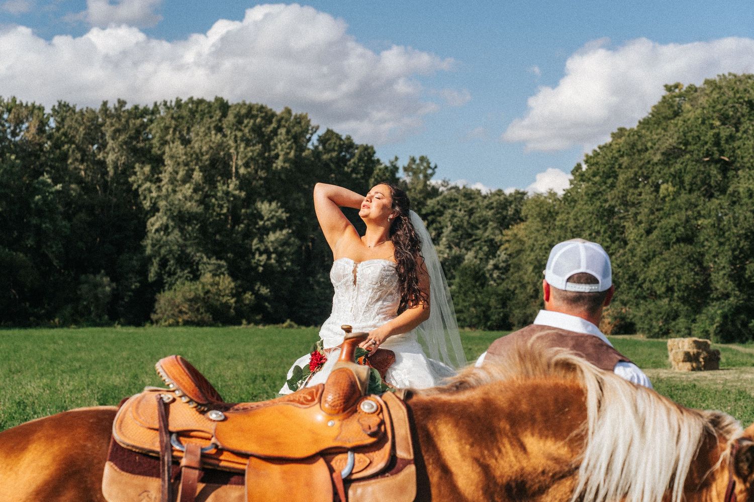 A collection of equestrian photos showing horses and riders in various outdoor settings with sunny skies and trees.