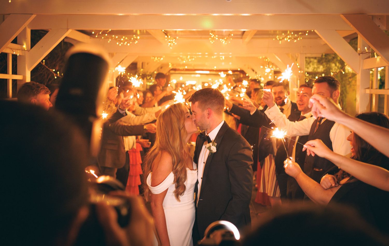 Kissing couple surrounded by family and friends holding sparklers at Tinakilly house wedding venue