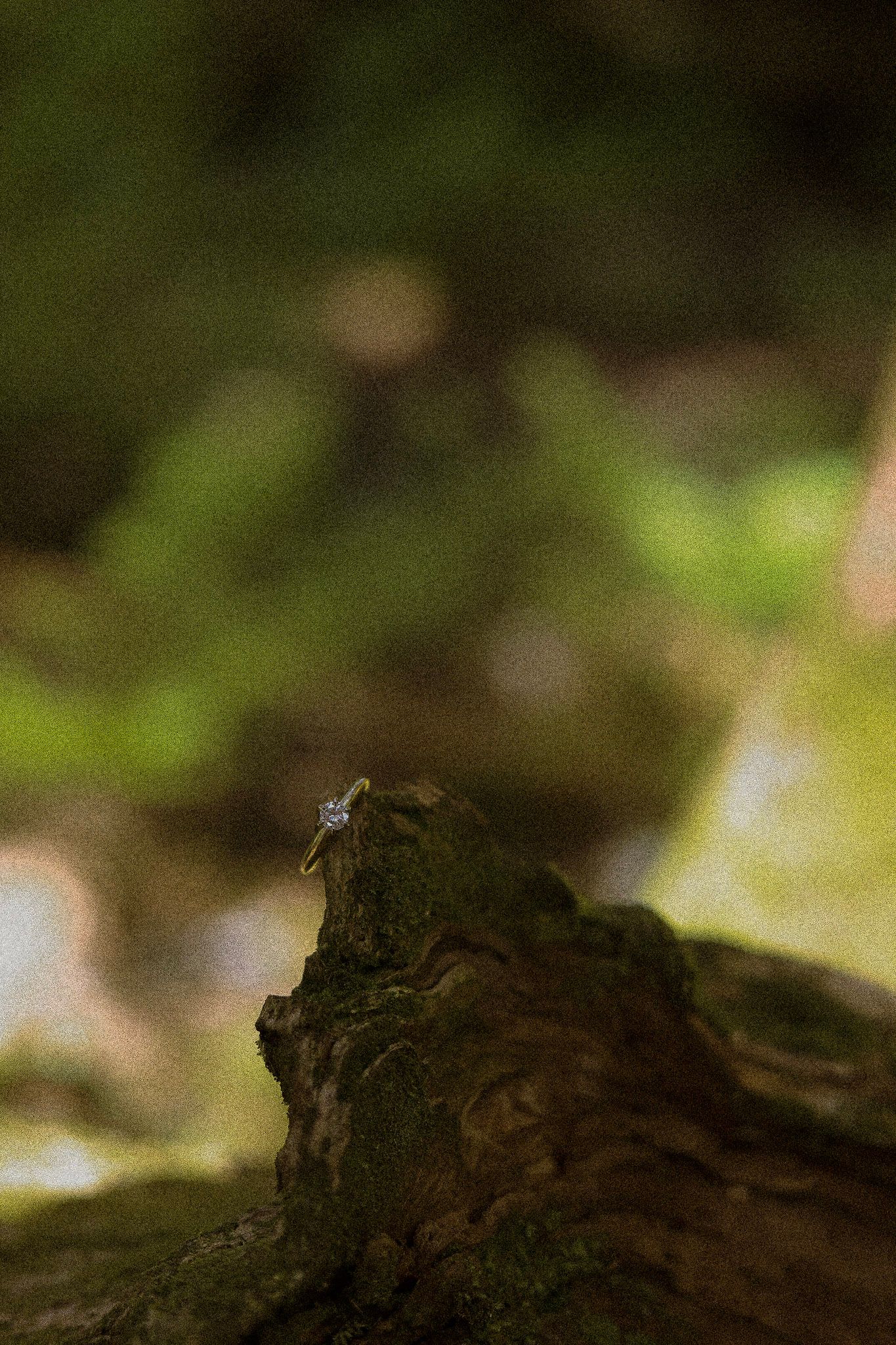 Wyoming Elopement Photography | Montana Elopement Photography | Colorado Elopement Photography