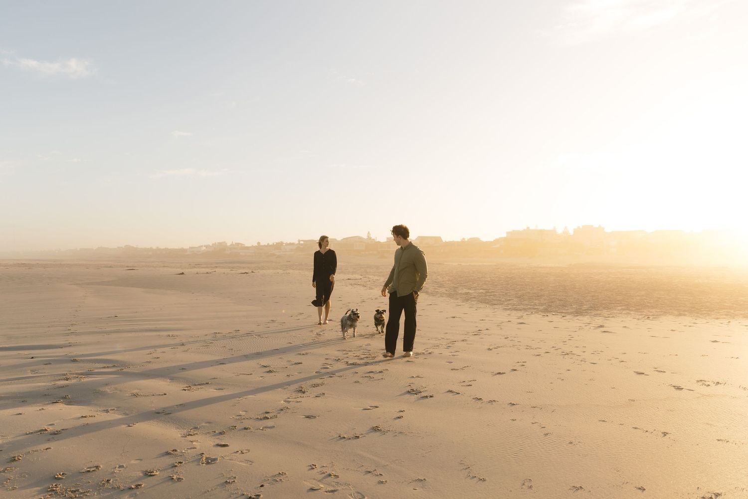 Silhouettes of people and dogs walking on a misty beach at sunset with golden light illuminating the sand and sky.