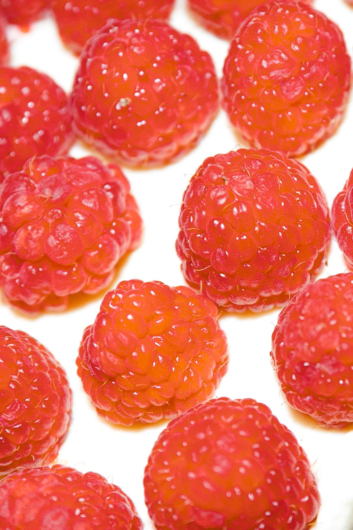 Fresh ripe red raspberries arranged in rows on a white background creating a vibrant fruit pattern.