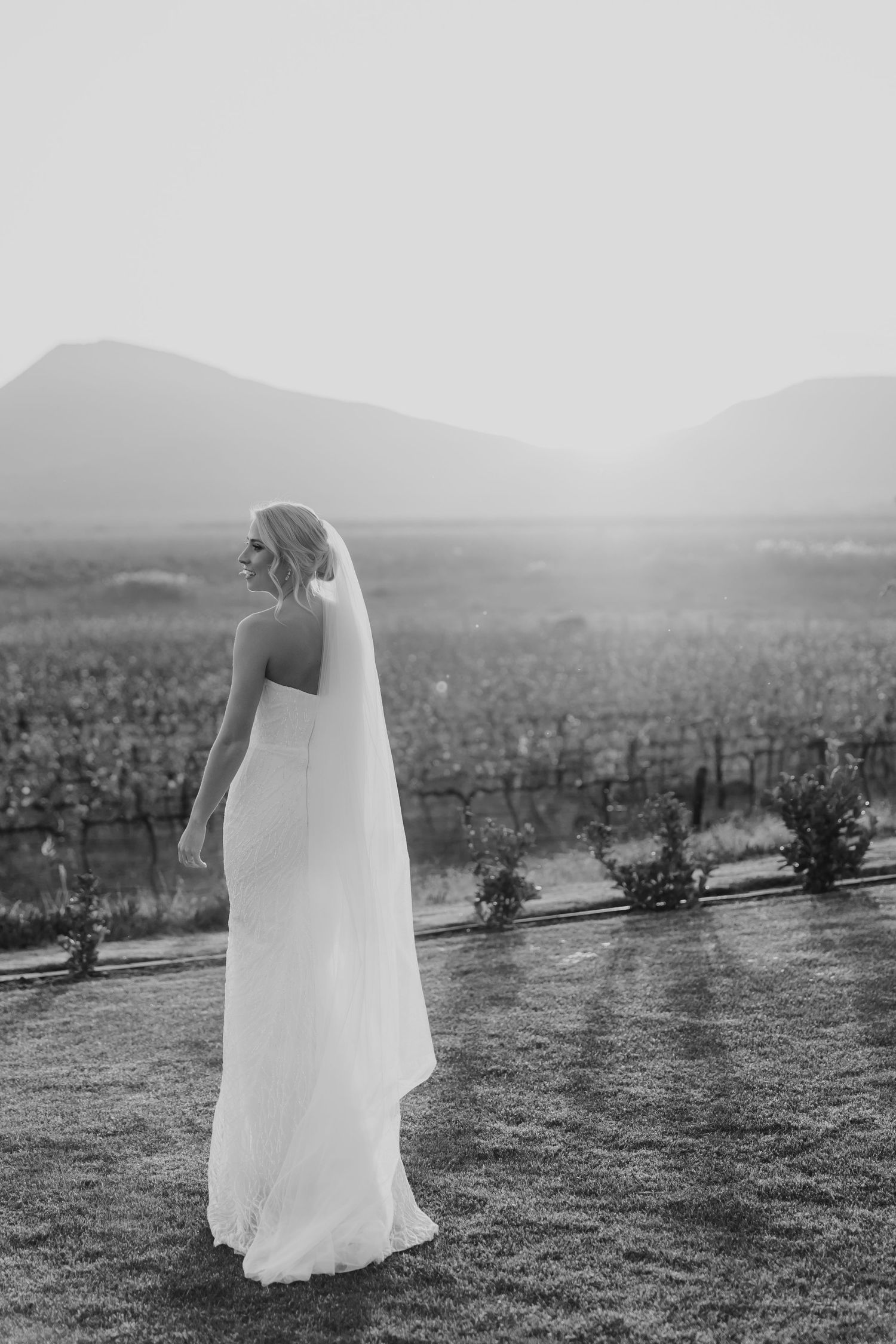 Black and white photo of a bride in a flowing gown and veil standing before a vineyard with misty mountains at sunset.
