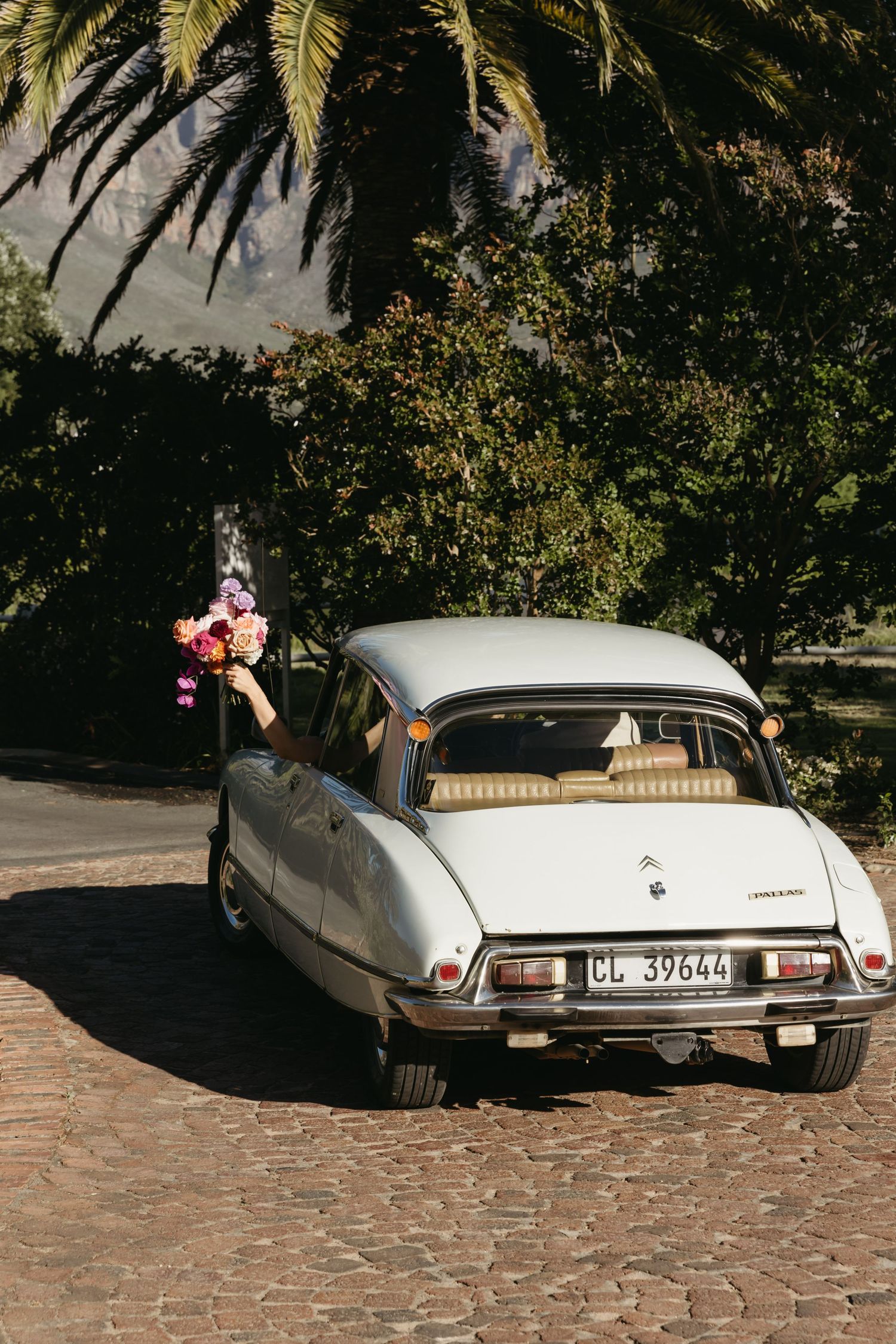 Vintage white Citroën DS car with bouquet of flowers from window, cobblestone driveway, palm trees background.