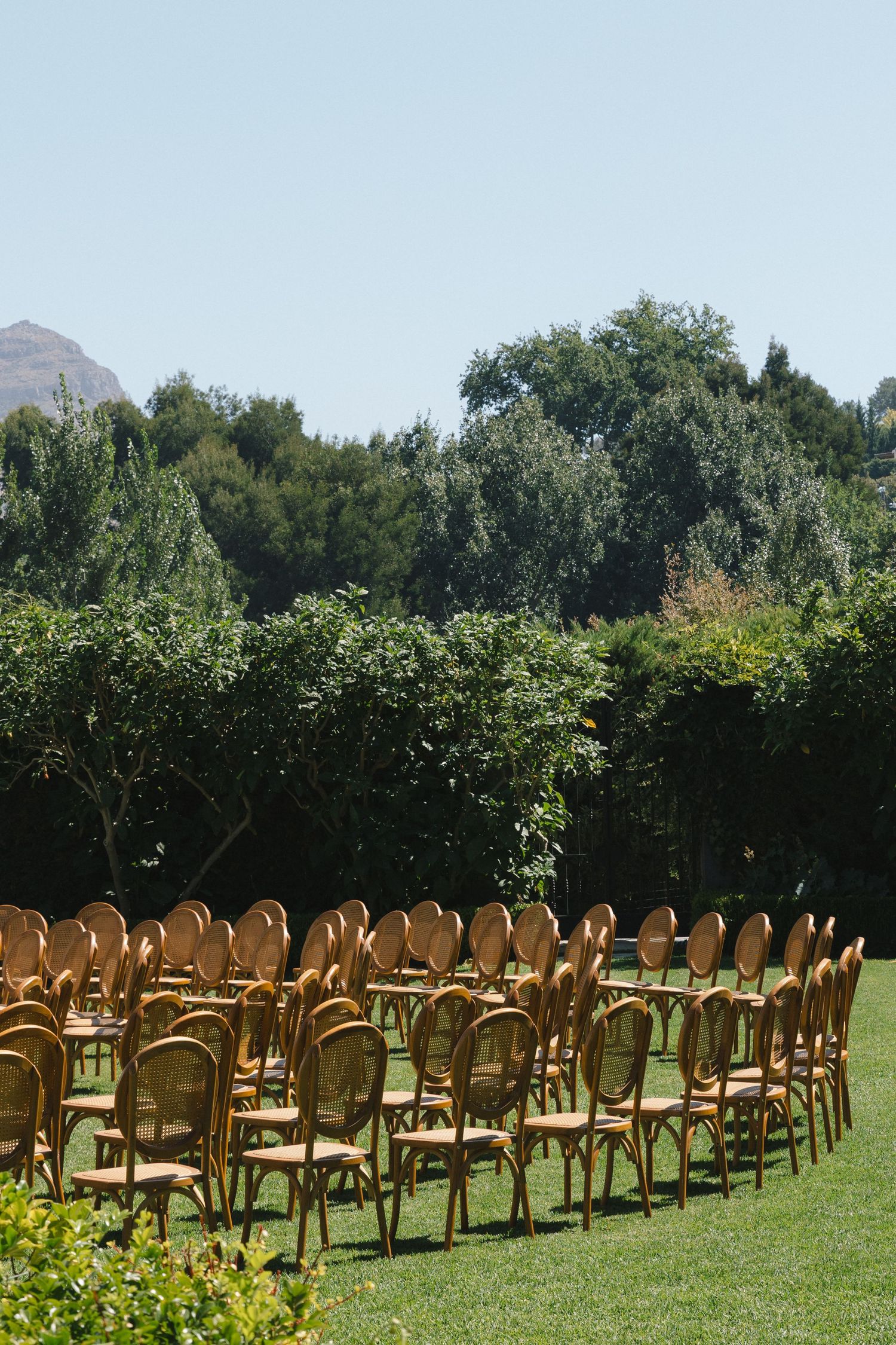 Rows of wooden chairs arranged on a green lawn for an outdoor event with trees in the background.