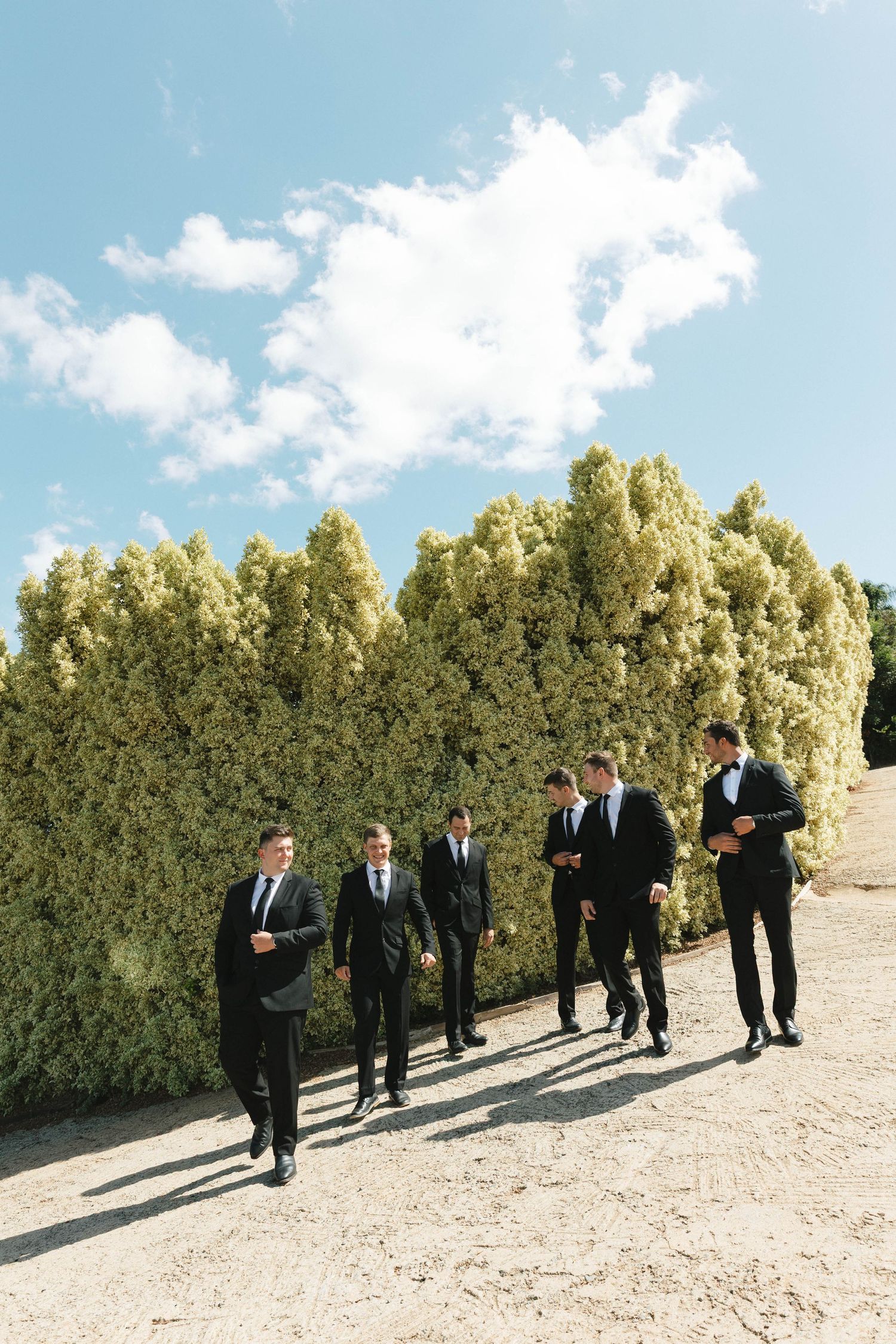 A group in formal black suits walking along a dirt path beside tall green hedges under a bright blue sky.