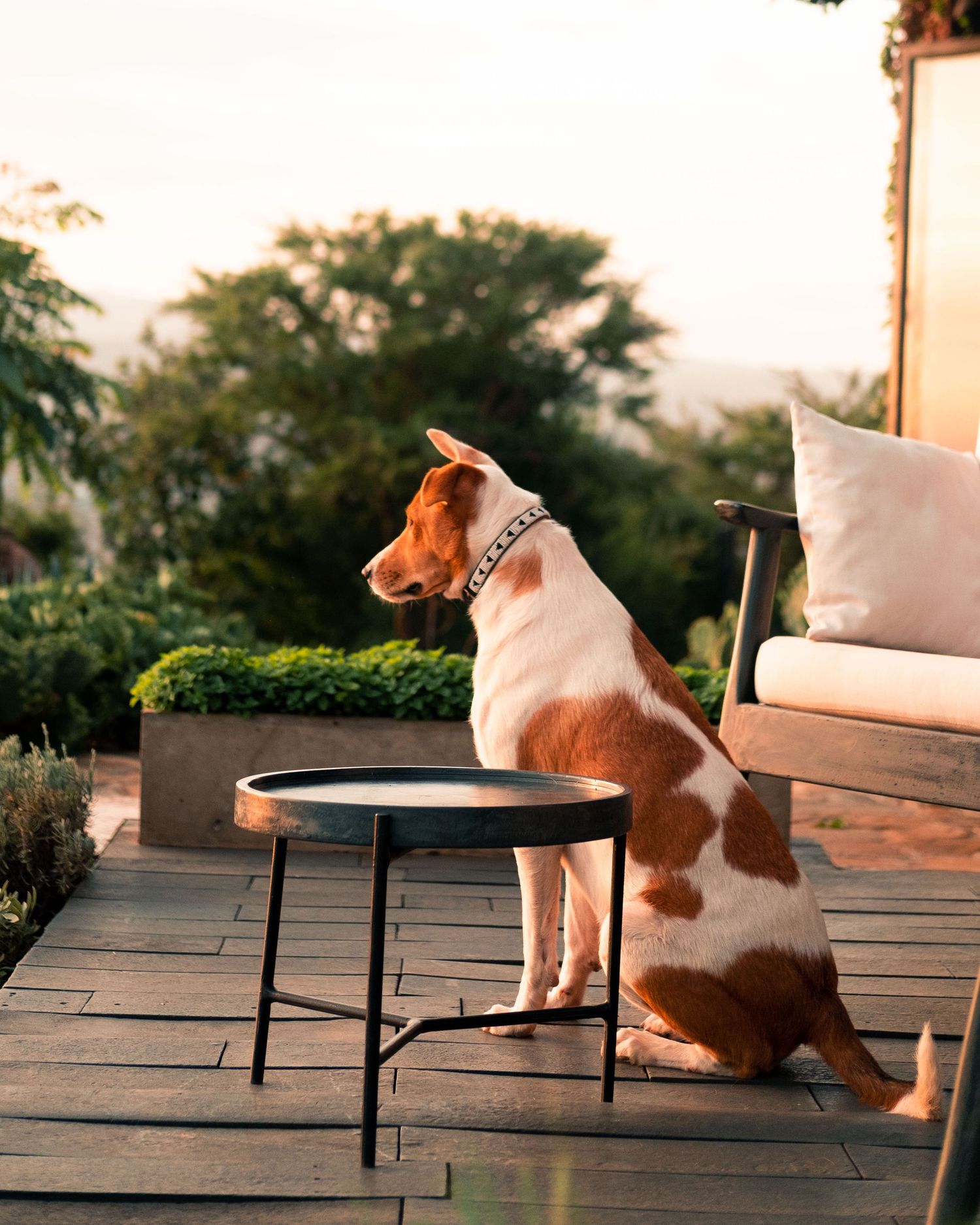 Cool Airbnb in Arusha - Nyumba Ndoto