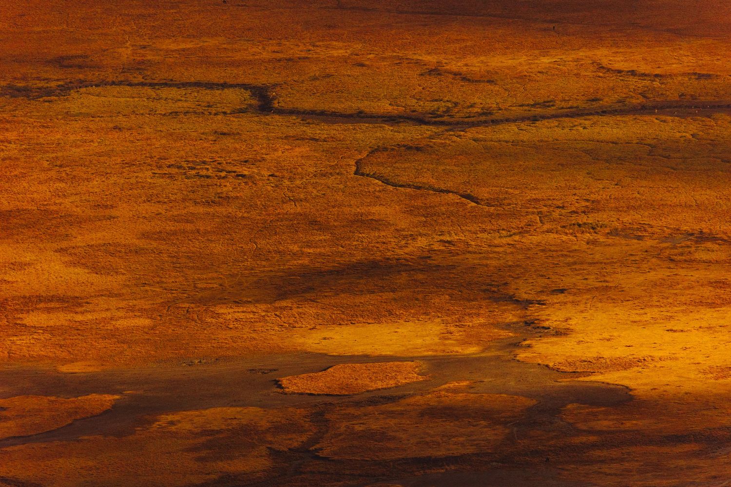 Ngorongoro Crater Viewpoint