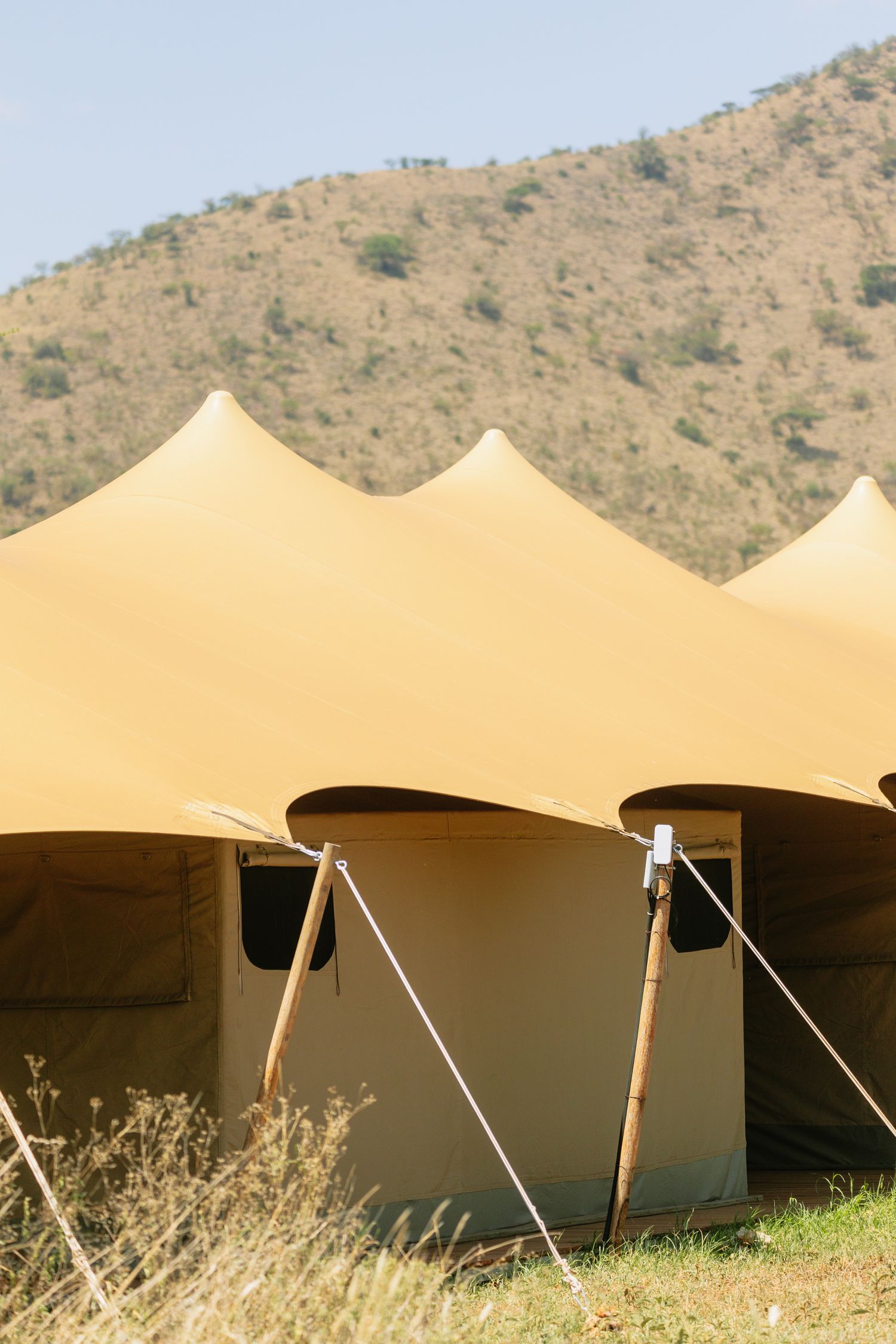 Acacia Groove Tented Lodge in Serengeti