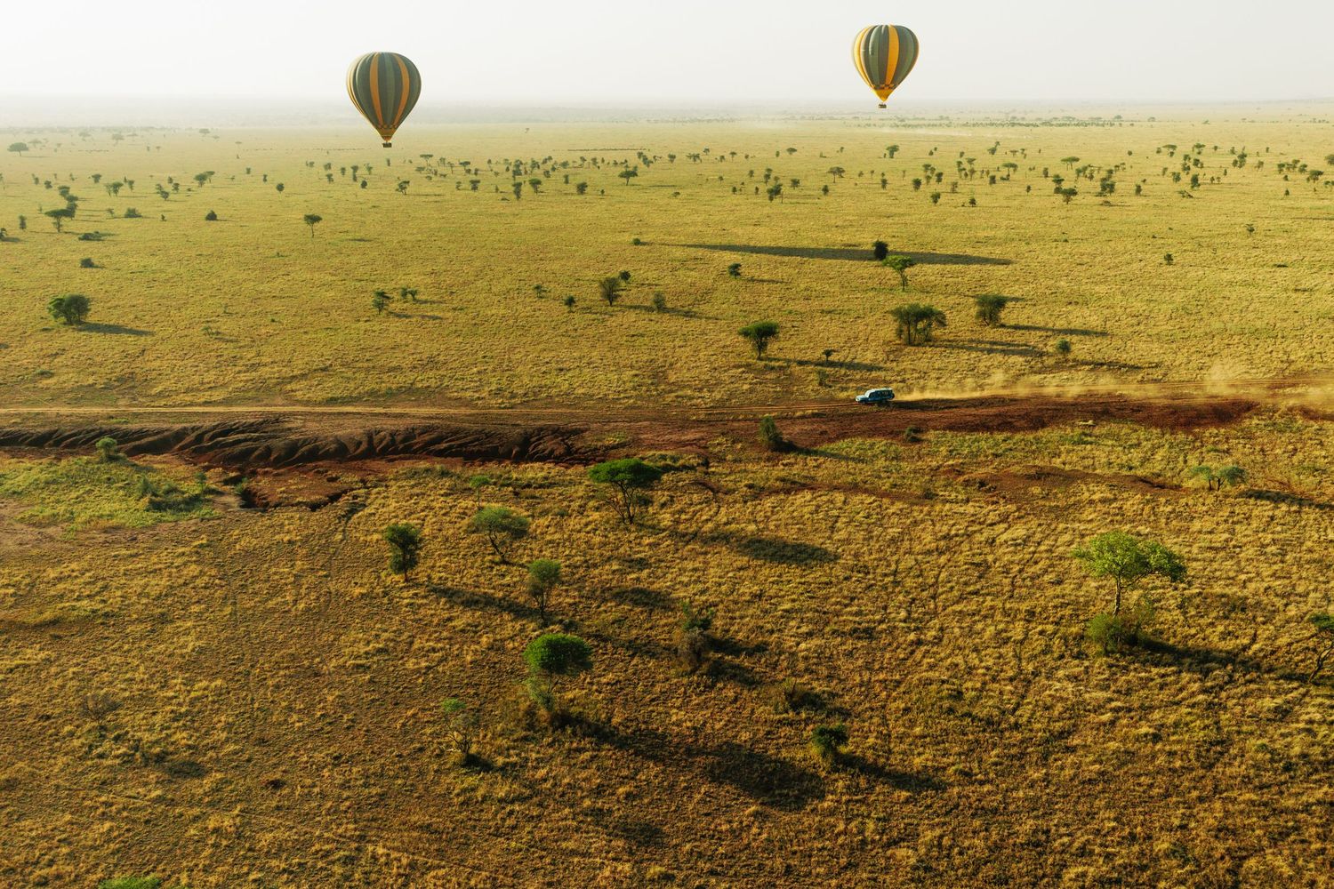 Balloon Experience view in Serengeti