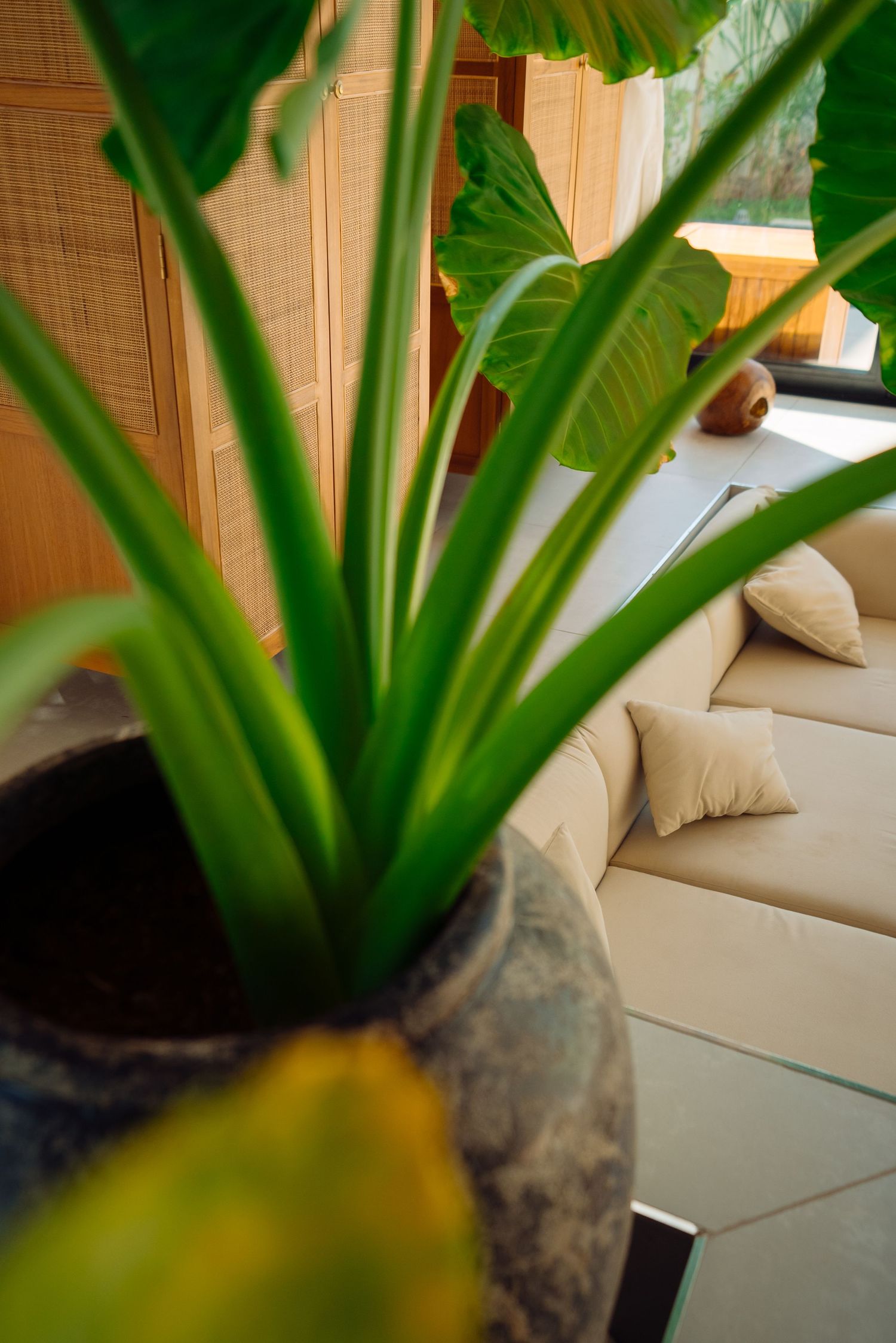 Emarald Escape Hotel & Villa in Zanzibar Paje