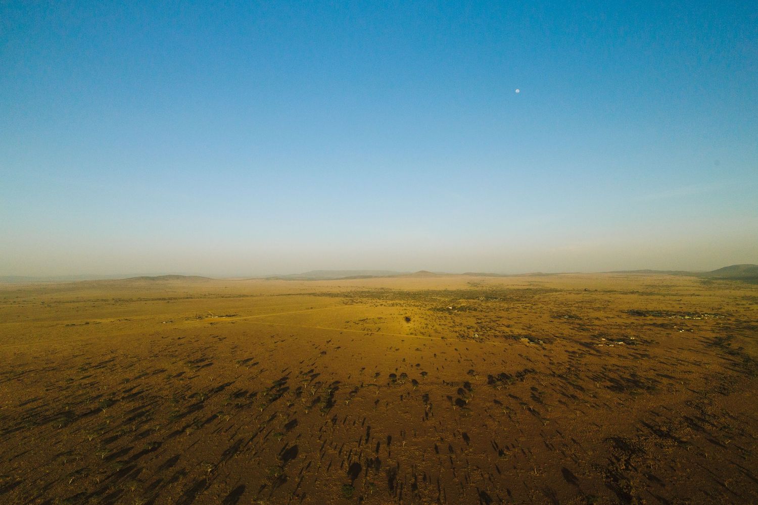 Serenegeti Balloon View