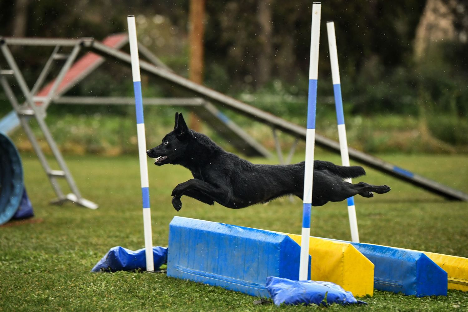 Agility