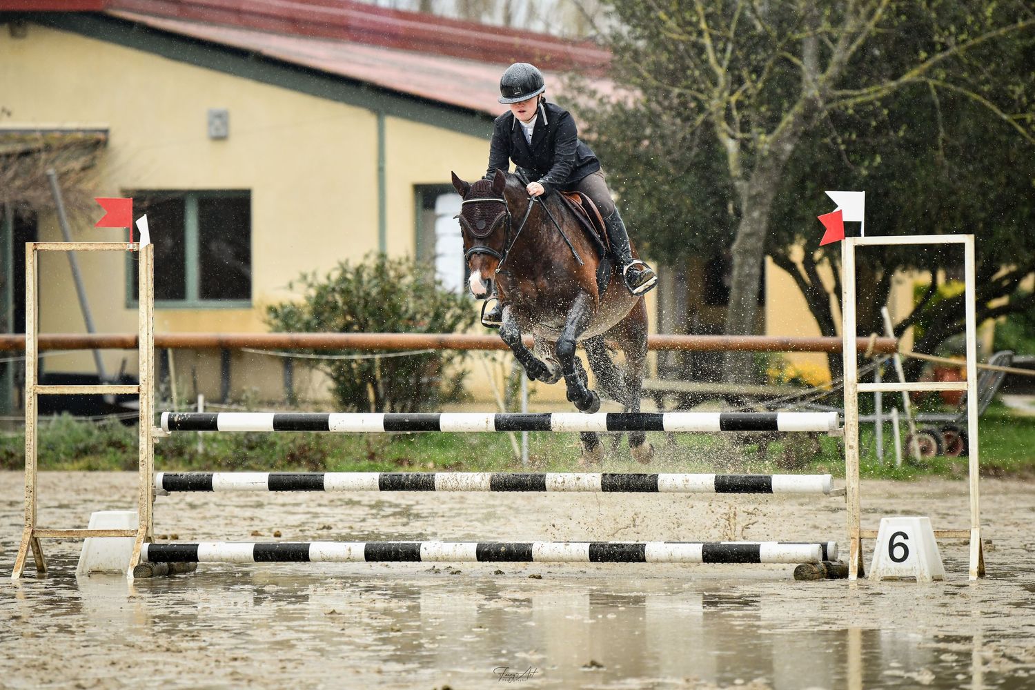 Hunter cheval caderousse