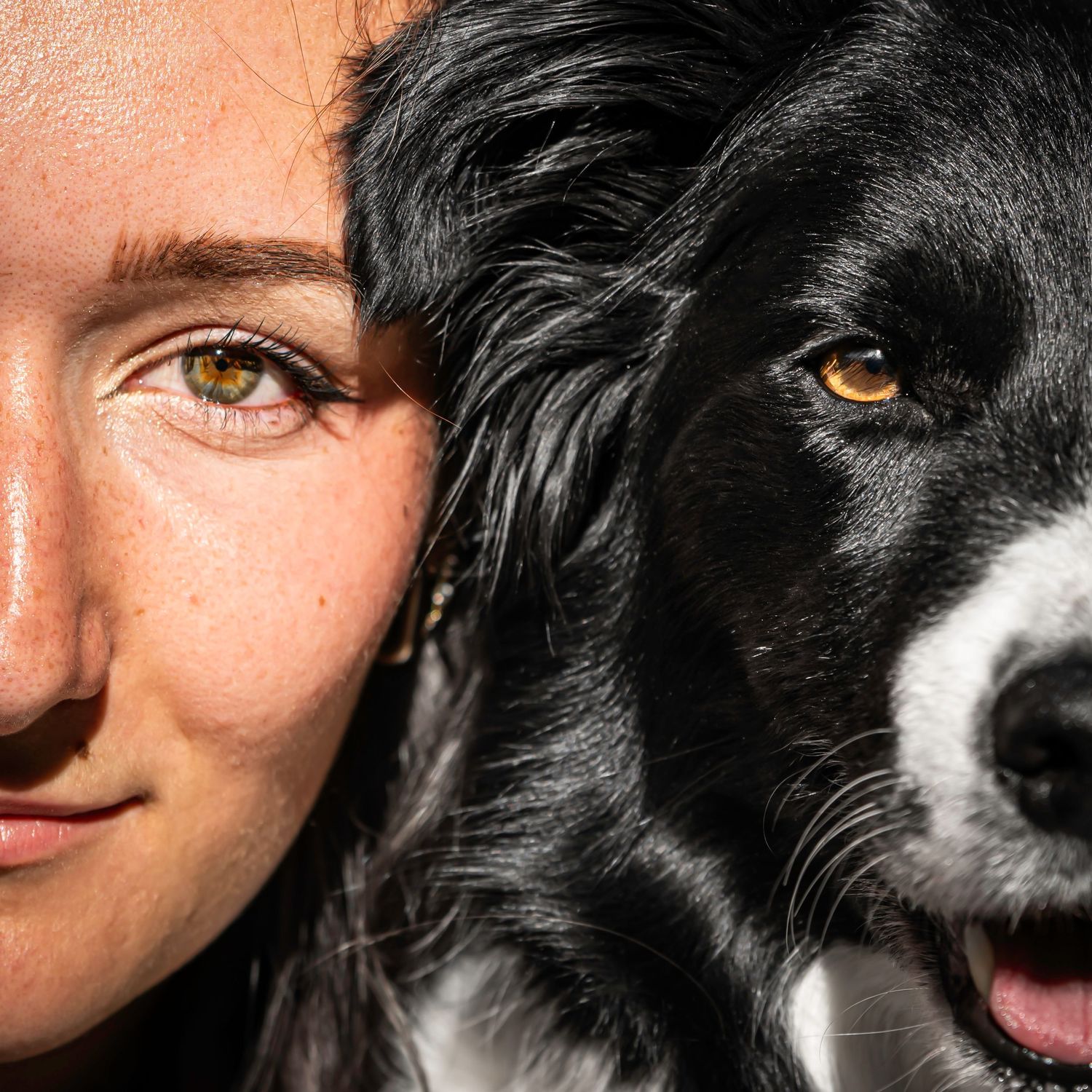 Duo humain chien