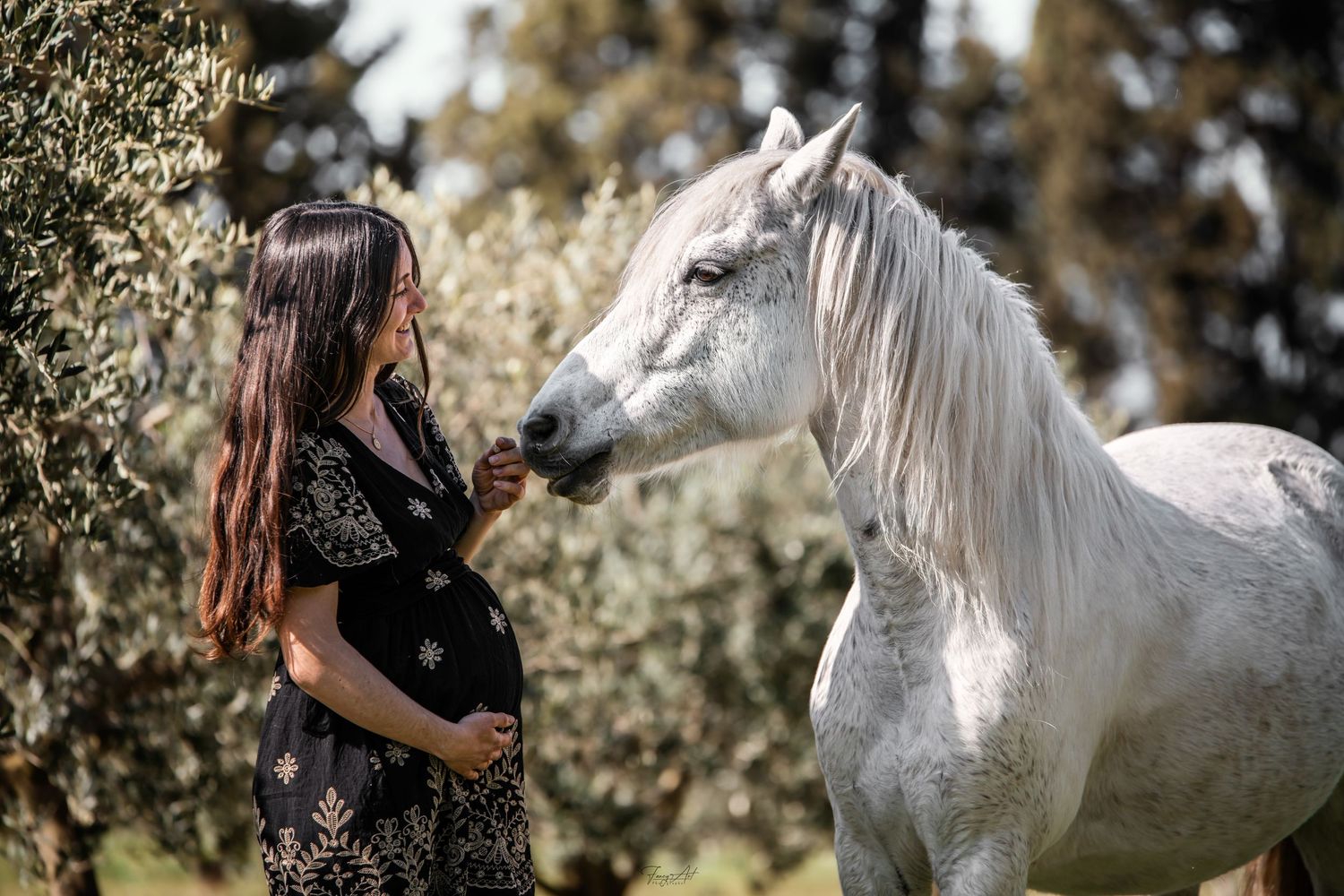 Duo cheval