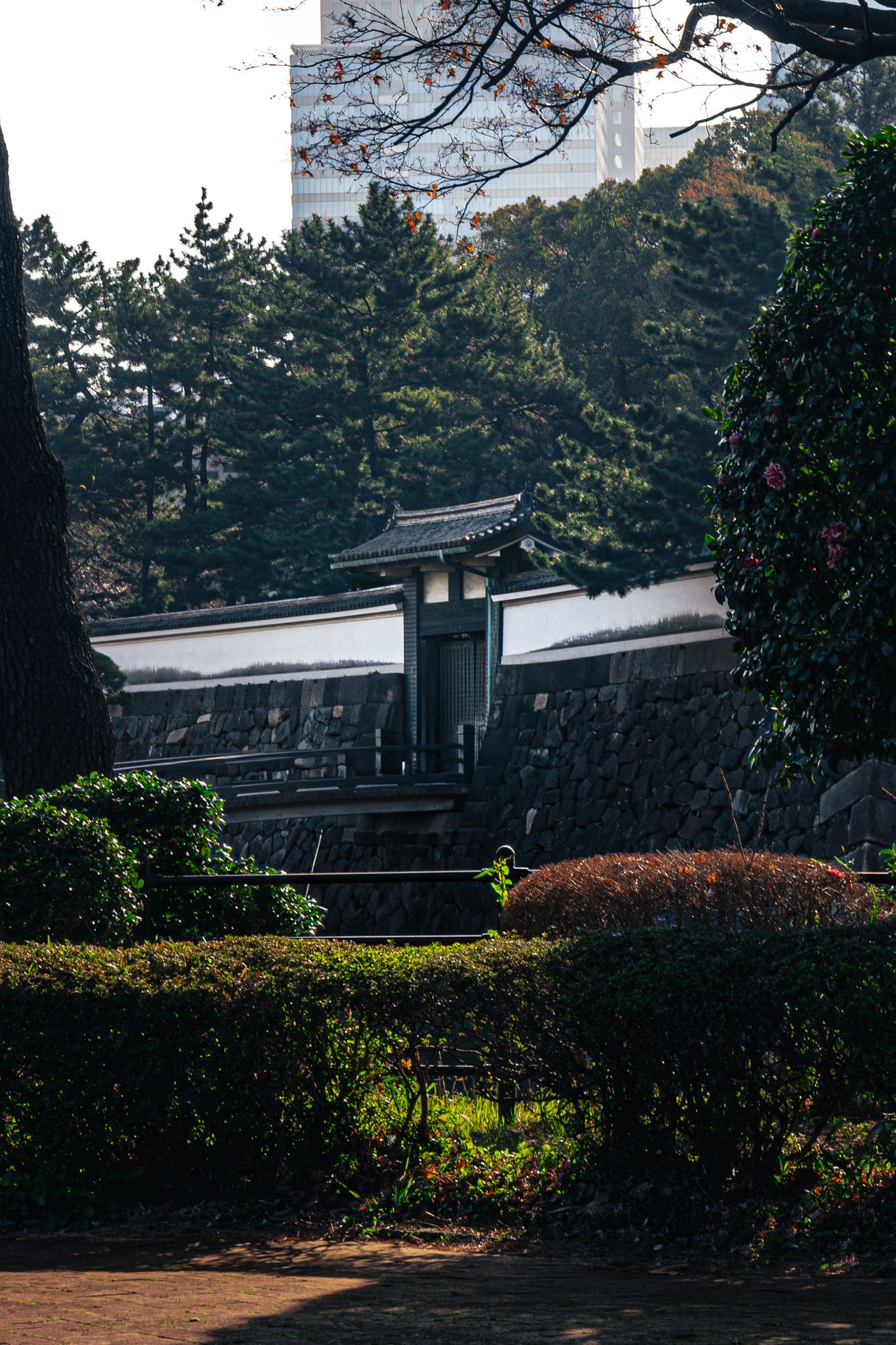 Japanese garden path with trimmed hedges leading to a traditional stone wall gate surrounded by lush green trees.