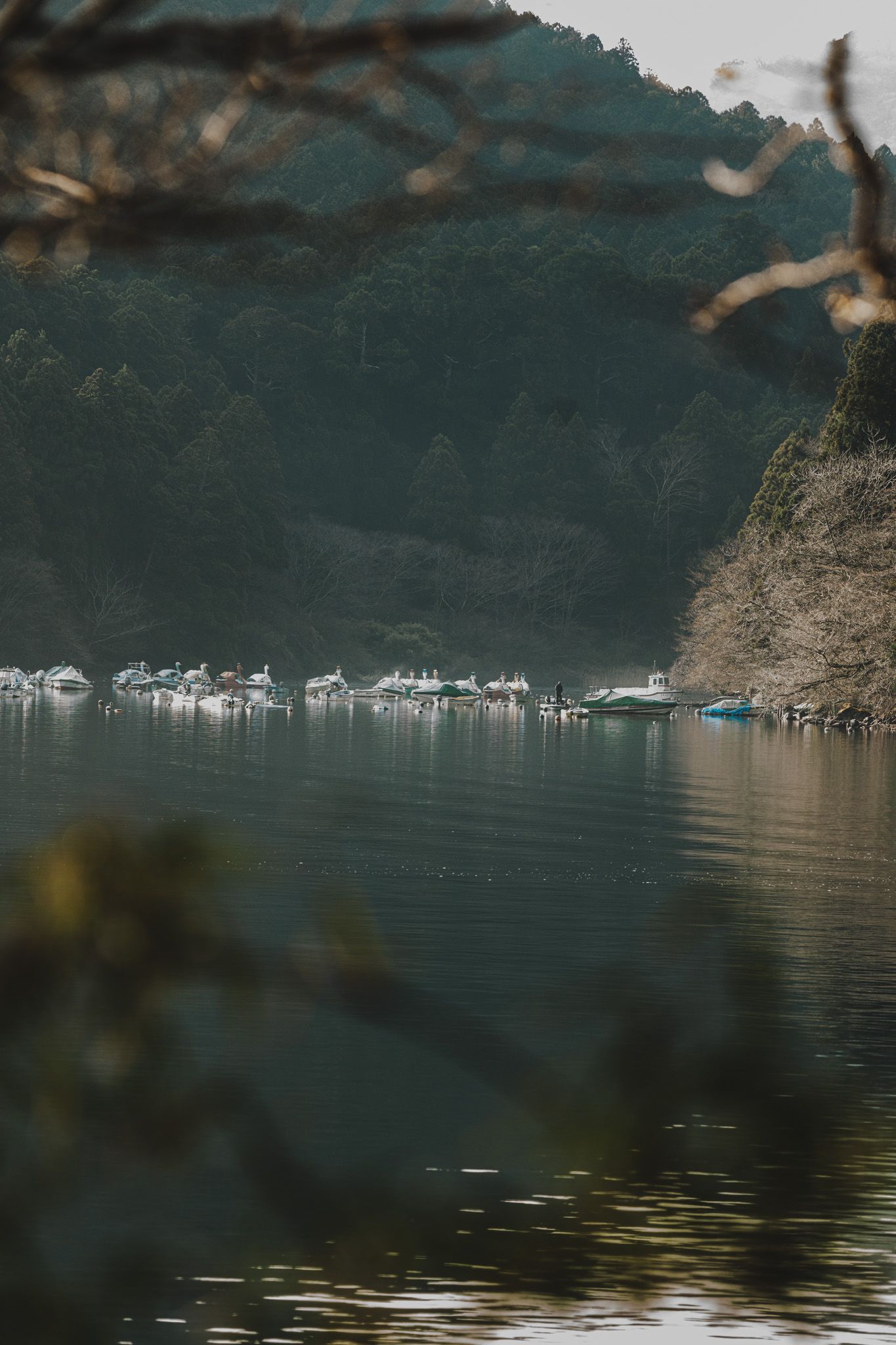 Boats moored on a calm lake reflecting misty green mountains, framed by blurred tree branches.