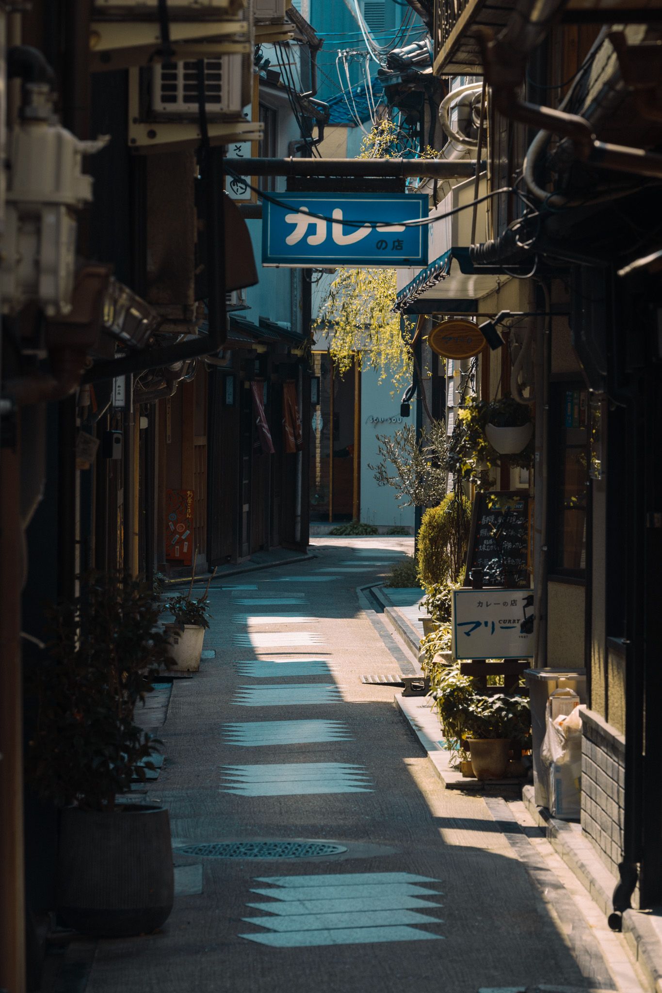Narrow Japanese alley with blue curry restaurant sign, sunlit stone path, potted plants, and traditional storefronts in Japan.